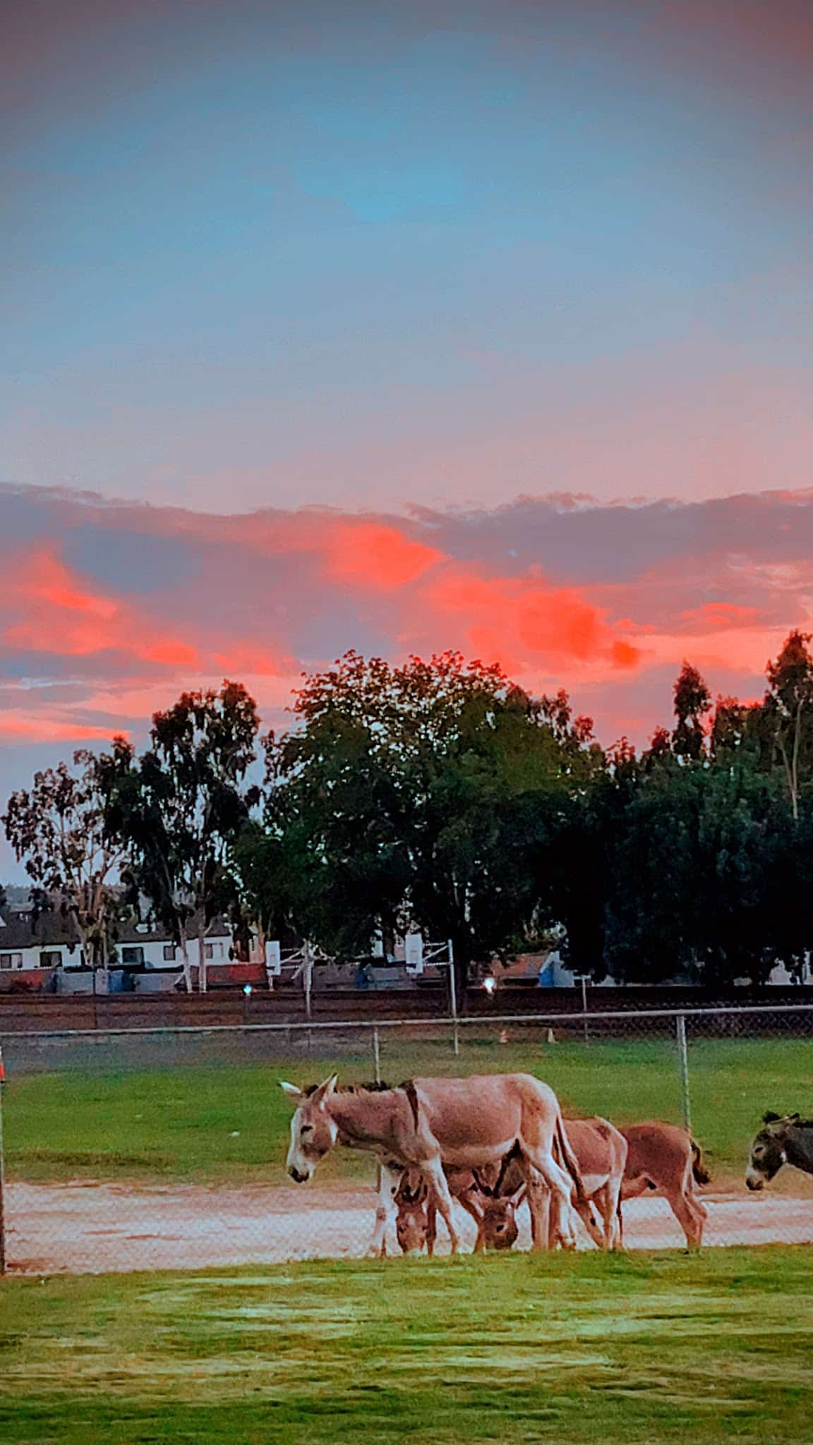 Highland Park - Riverside, CA