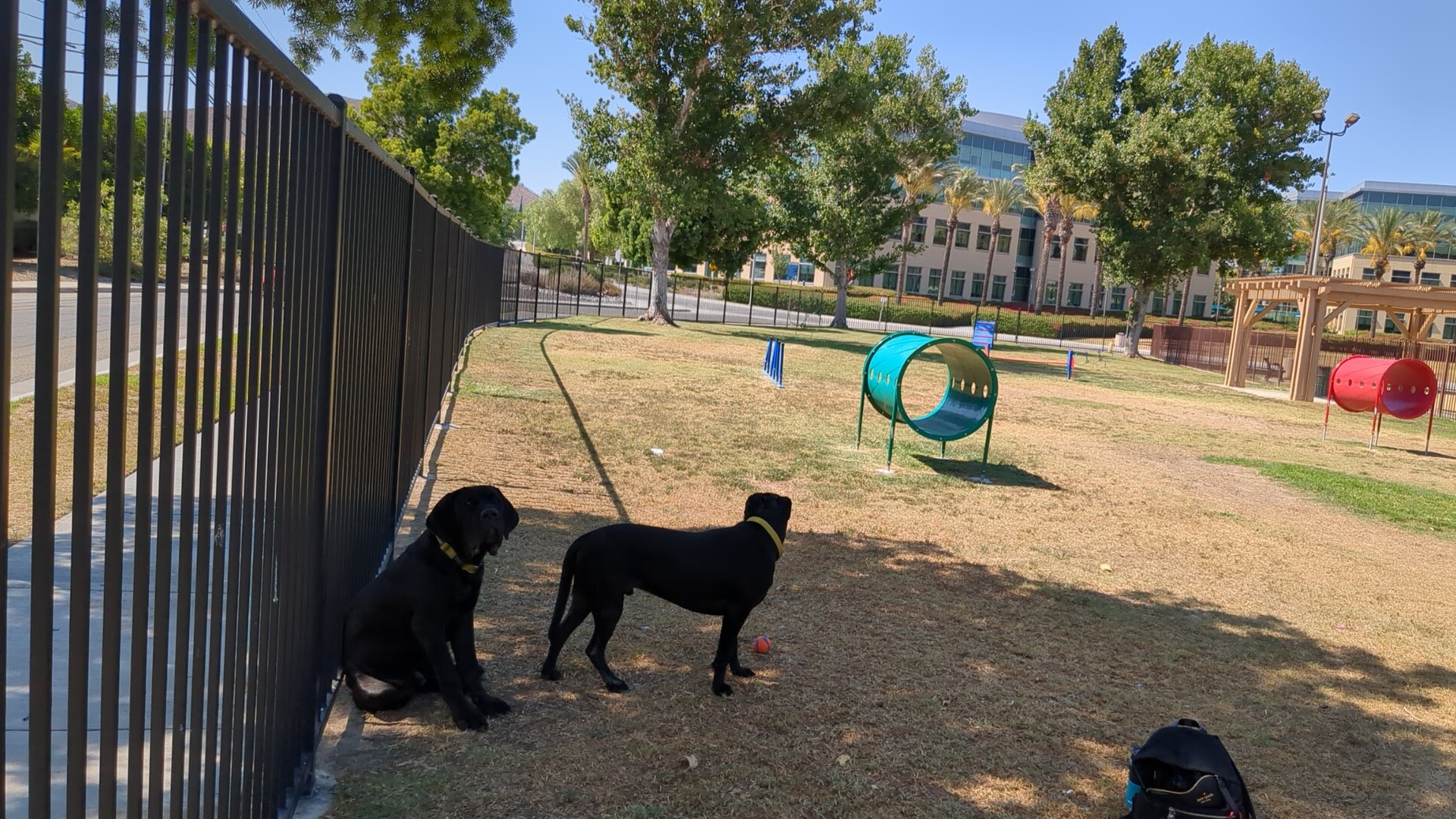 La Sierra Dog Park - Riverside, CA