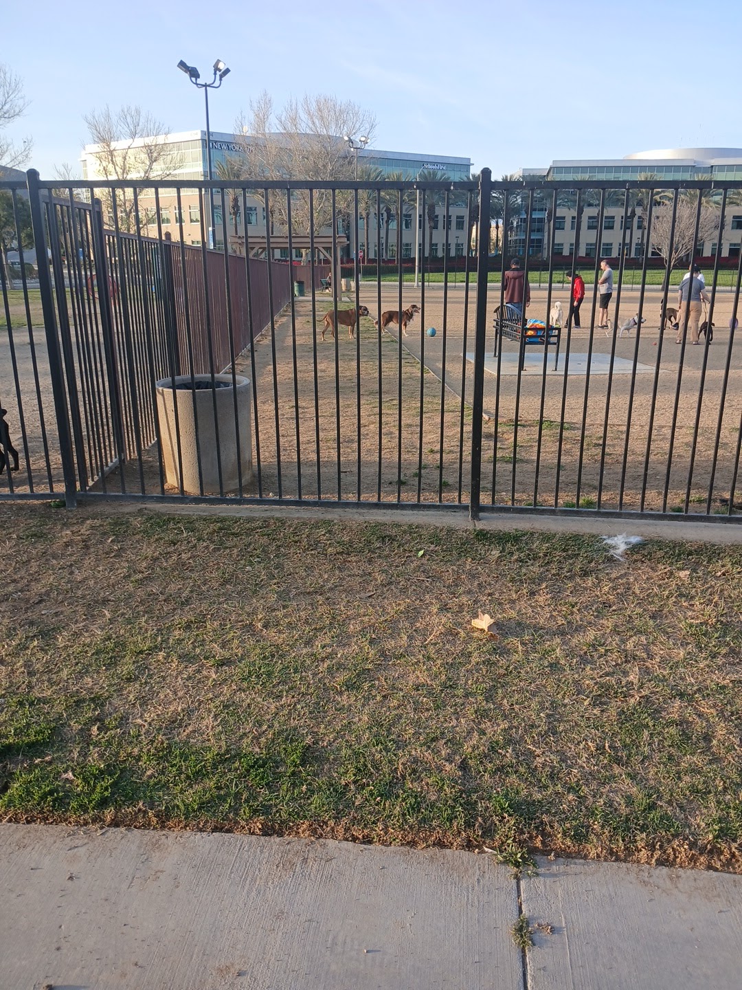 La Sierra Dog Park - Riverside, CA