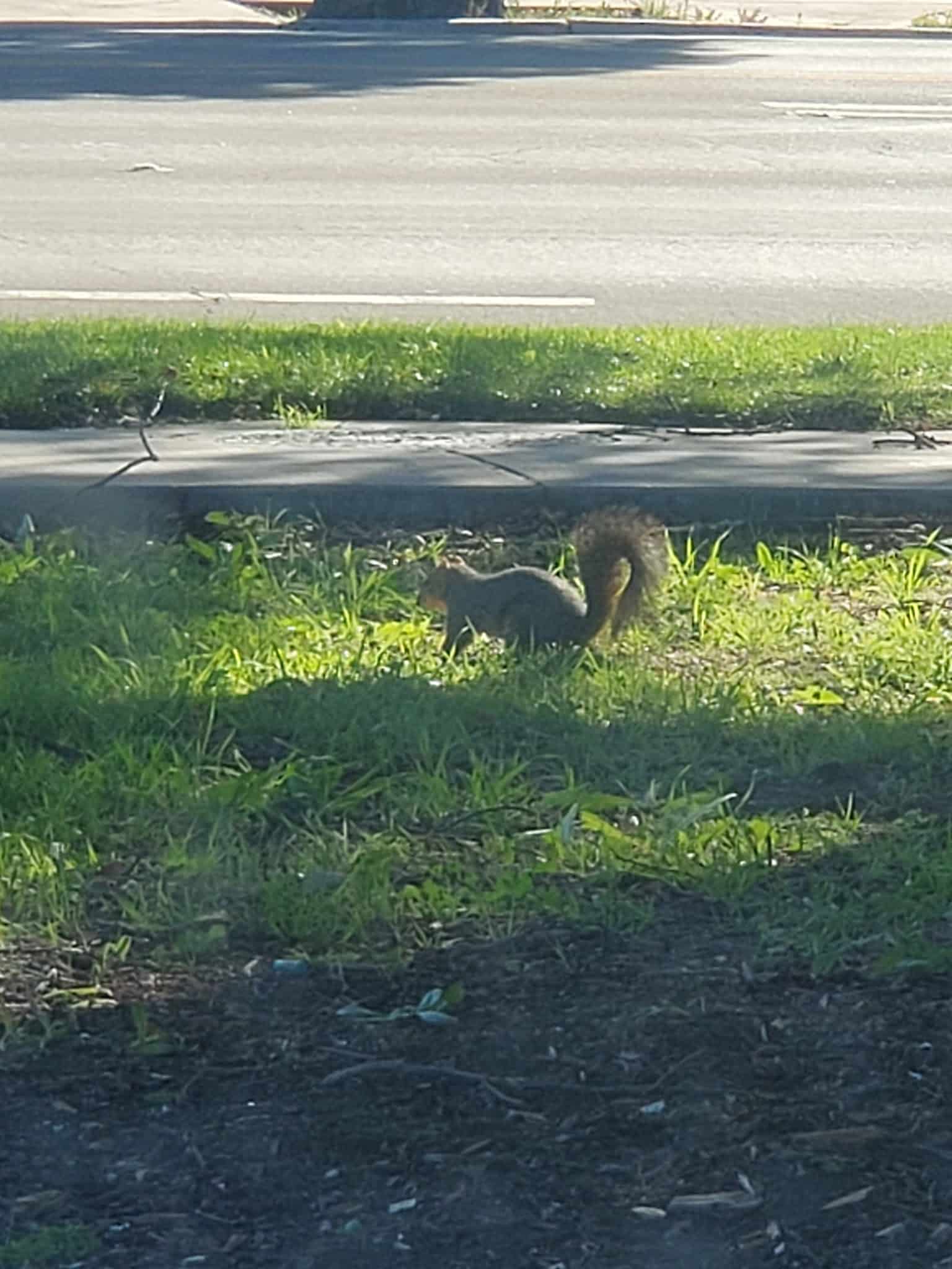 Low Park - Riverside, CA