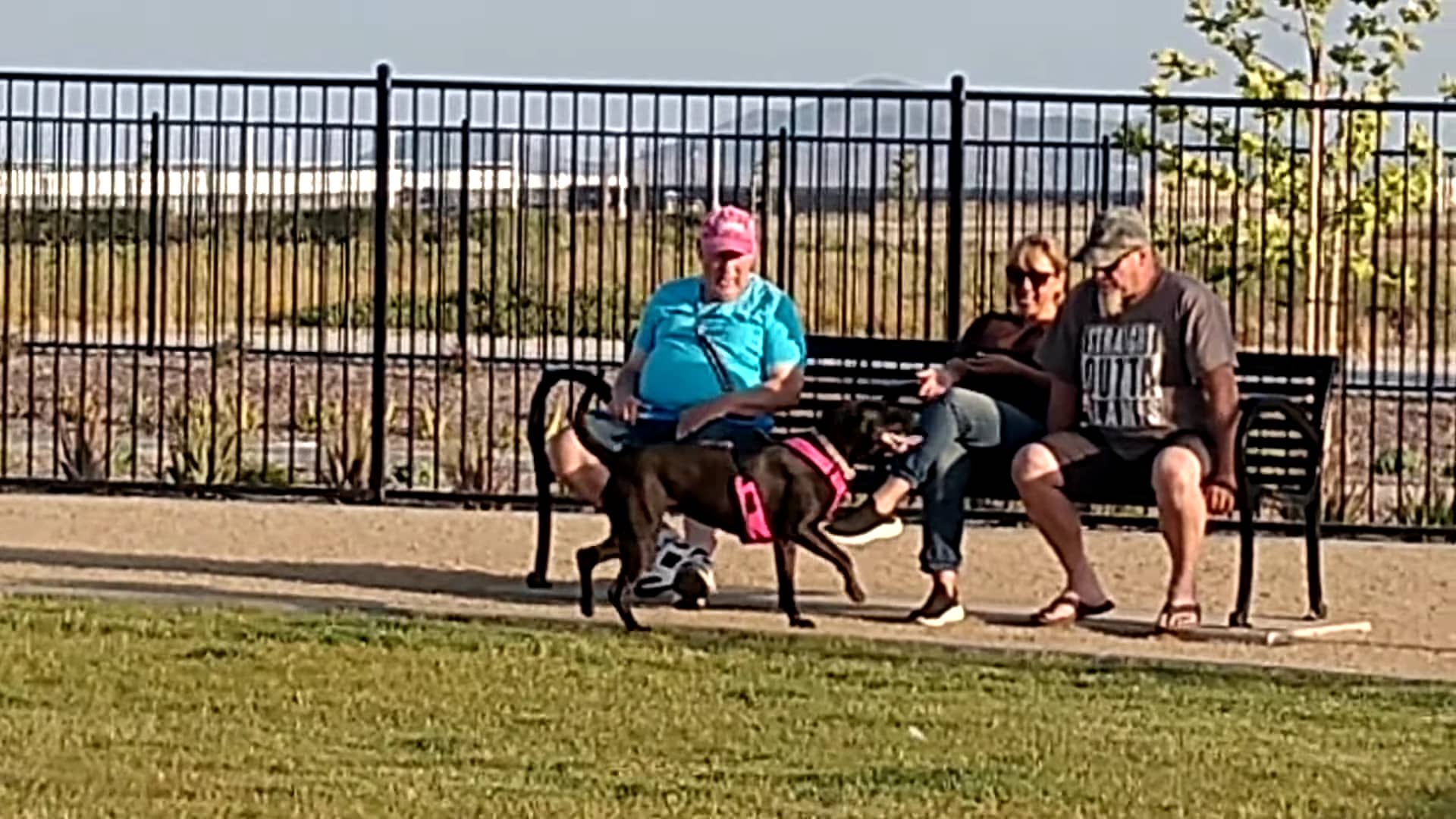 Orangecrest Dog Park - Riverside, CA