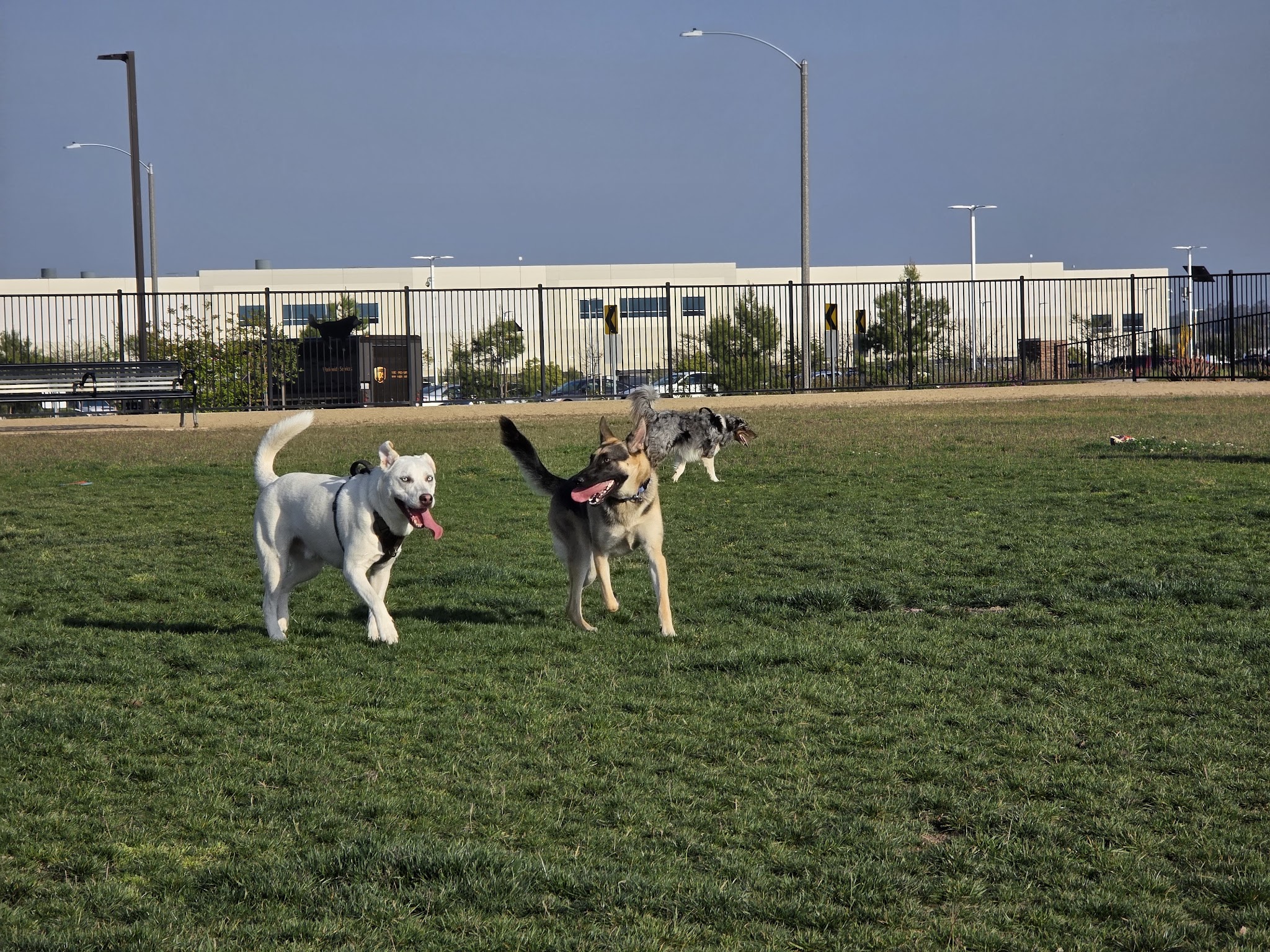 Orangecrest Dog Park - Riverside, CA