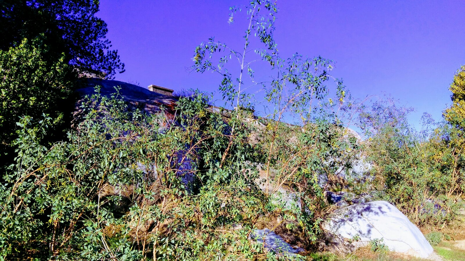 Park Riverside - Riverside, CA