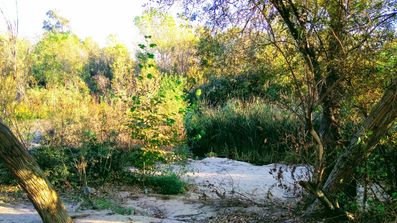 Park Riverside - Riverside, CA