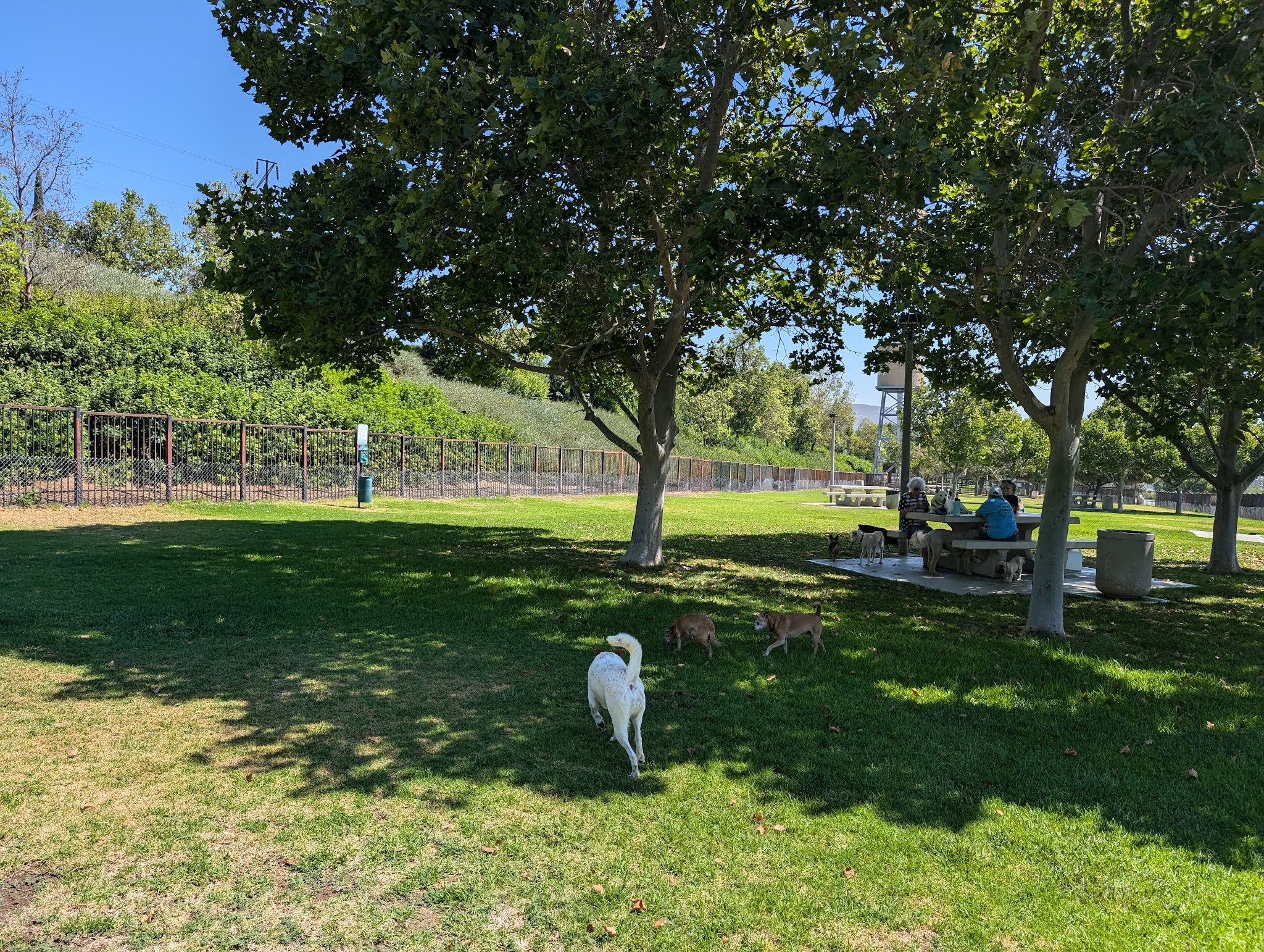 Pat Merritt Dog Park - Riverside, CA