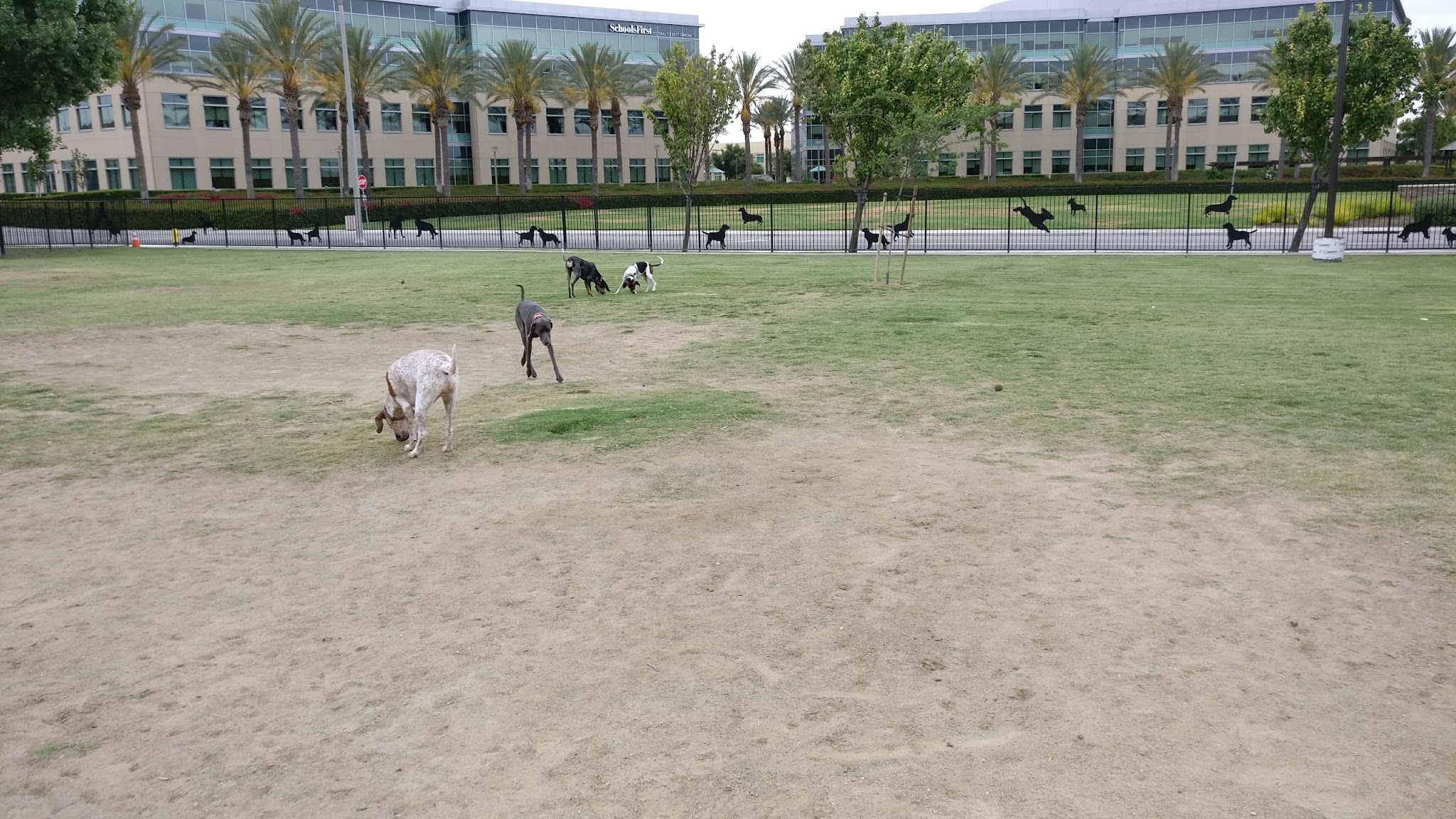 Riverwalk Dog Park - Riverside, CA