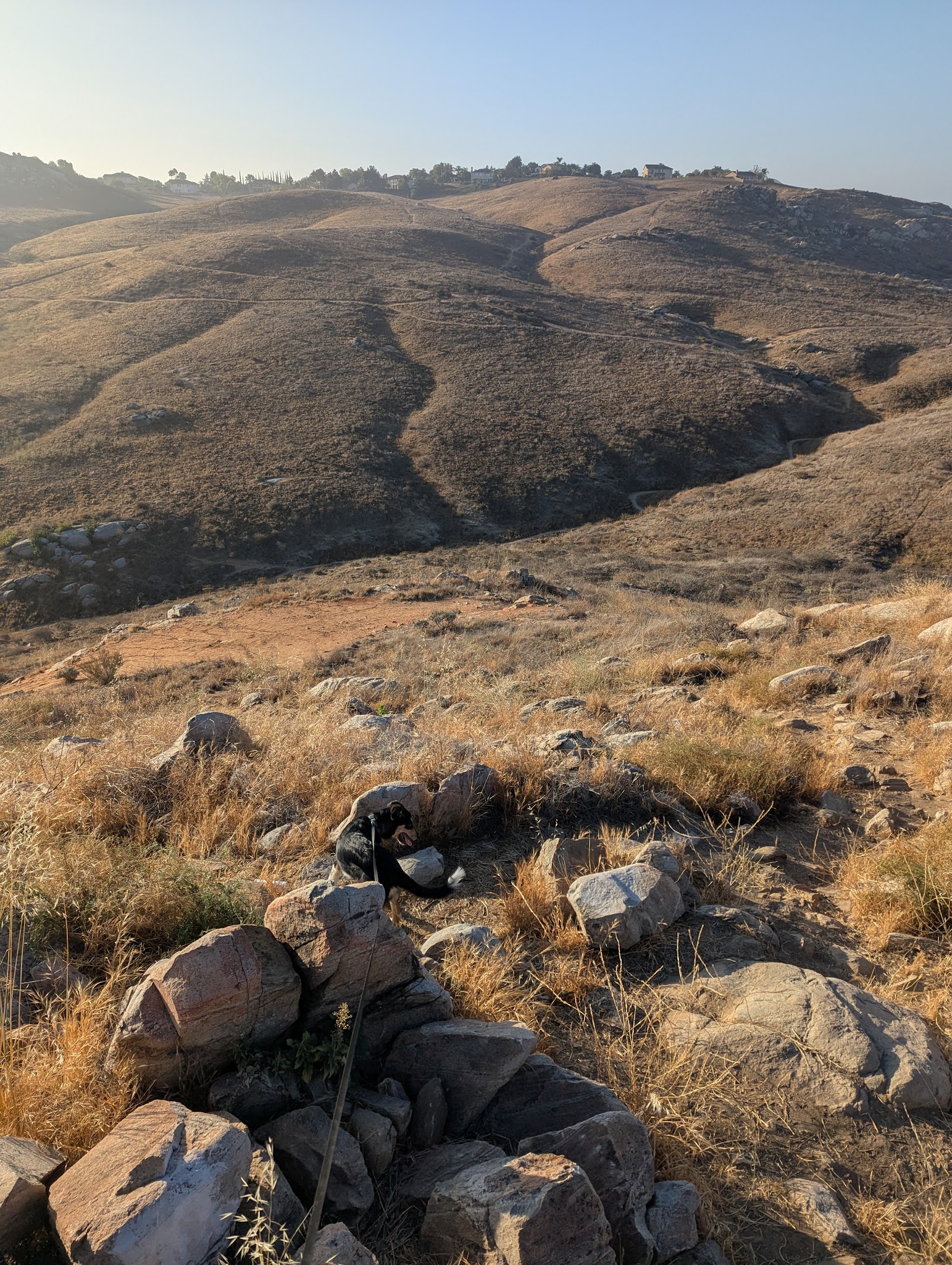 Sycamore Canyon Wilderness Park - Riverside, CA
