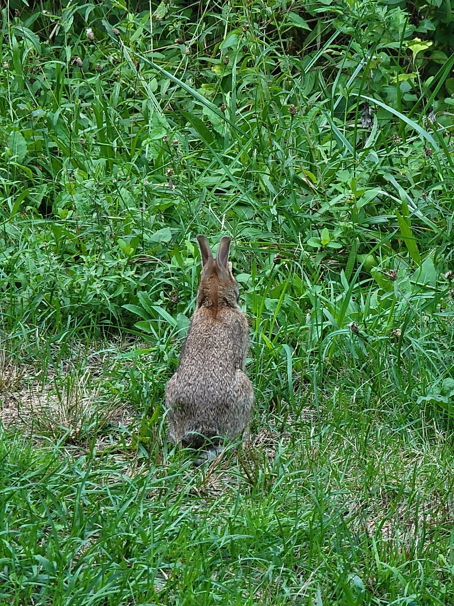 Eastbay Bikepath Access Point - Riverside, RI