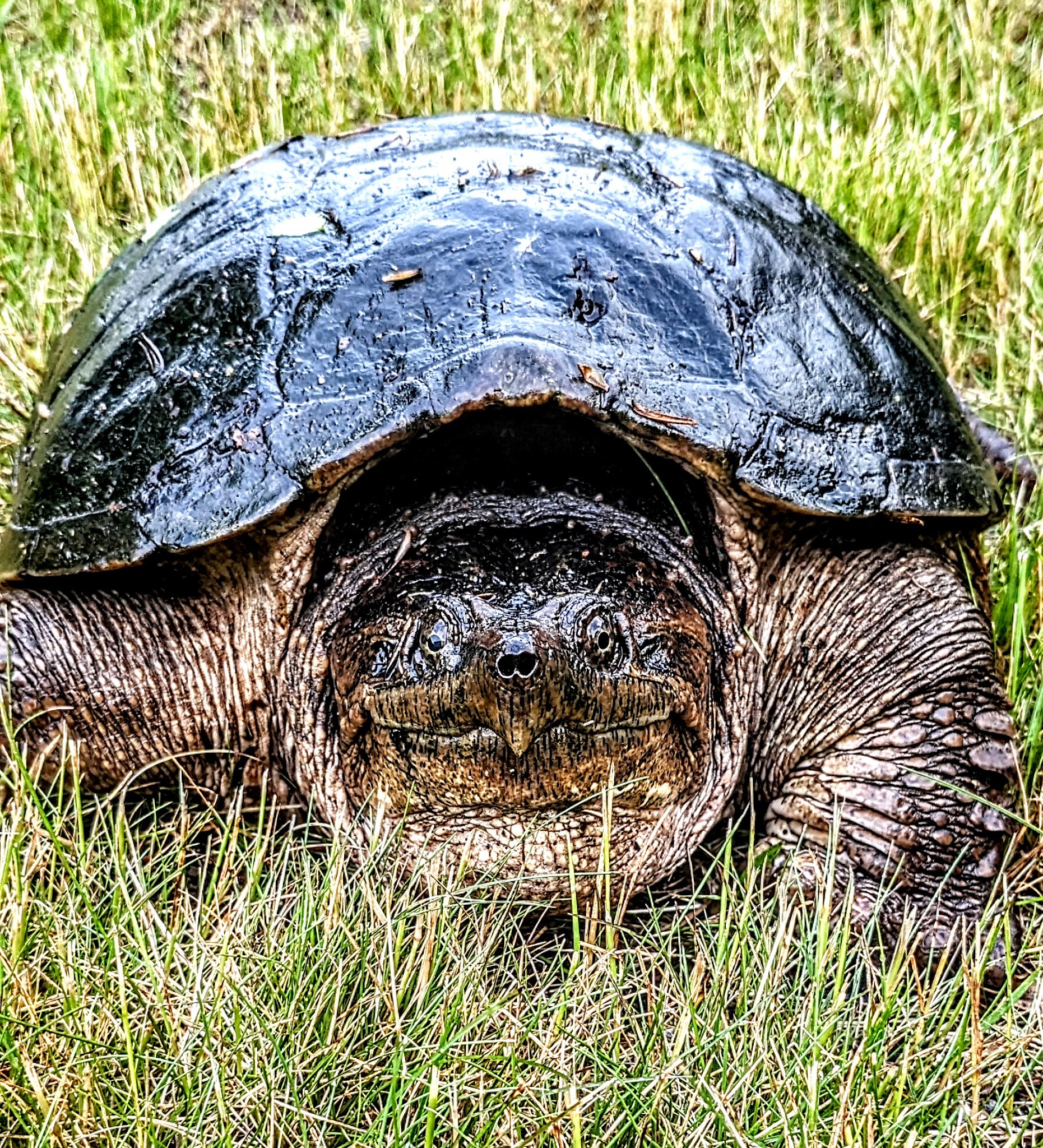 Grassy Plains Park - Riverside, RI