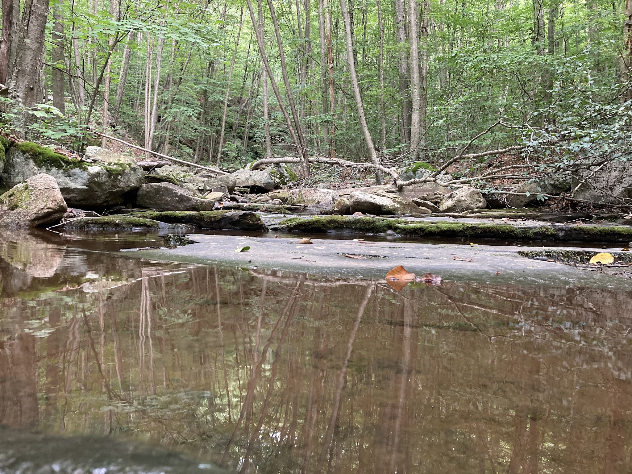 Miners Run - Roaring Branch, PA