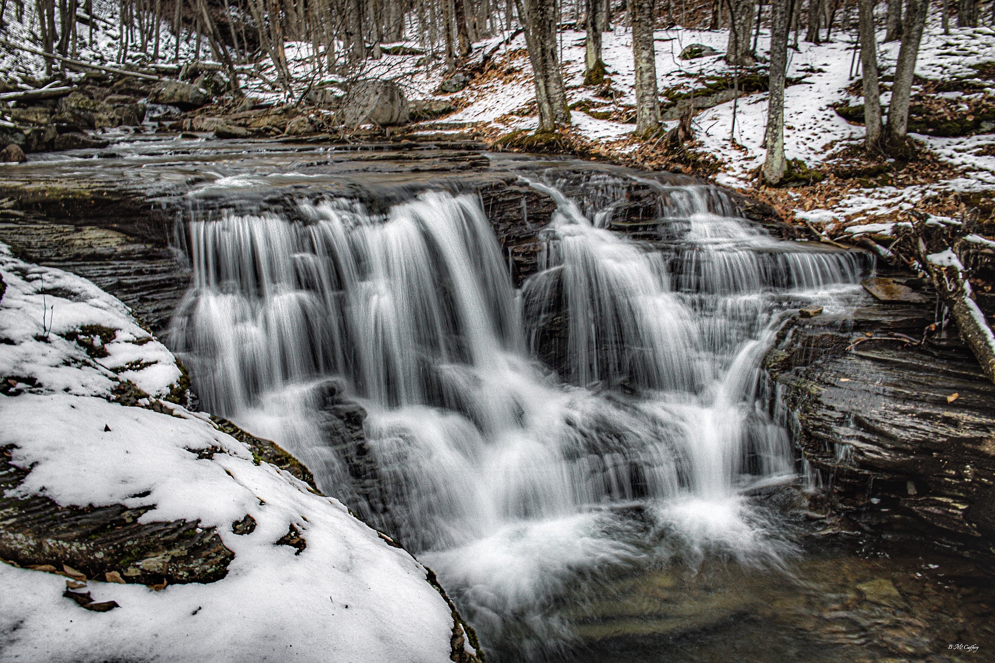 Miners Run - Roaring Branch, PA