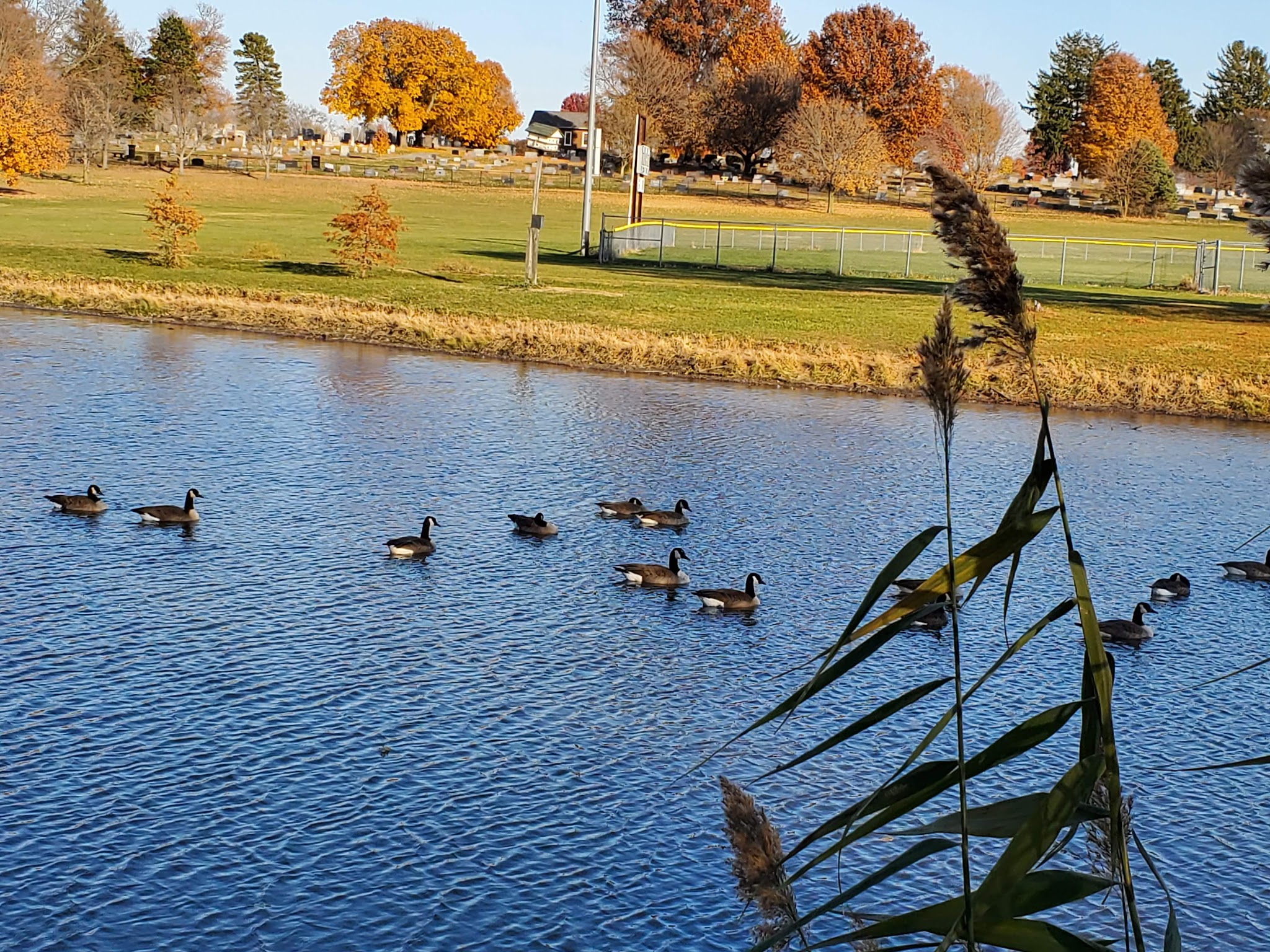 Rochester Community Park - Rochester, IL