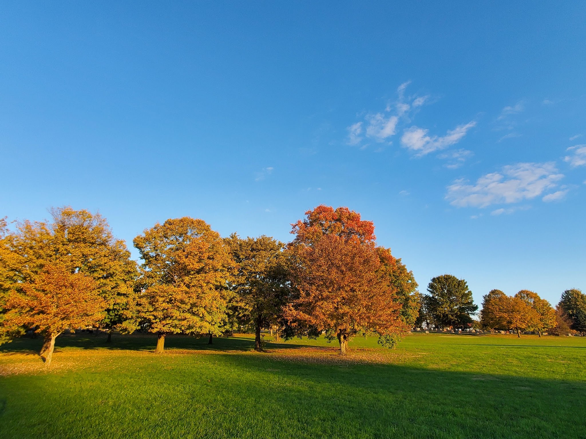 Rochester Community Park - Rochester, IL