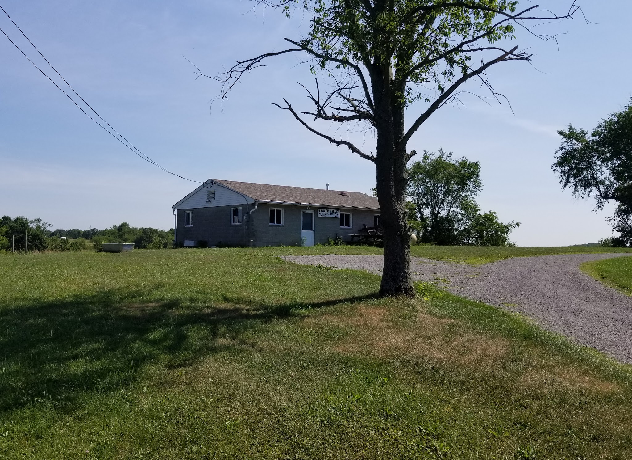 Beaver Valley Pointer Setter Club - Rochester, PA