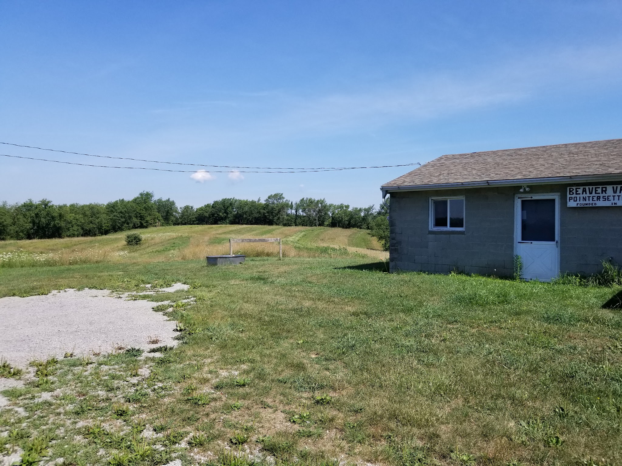 Beaver Valley Pointer Setter Club - Rochester, PA