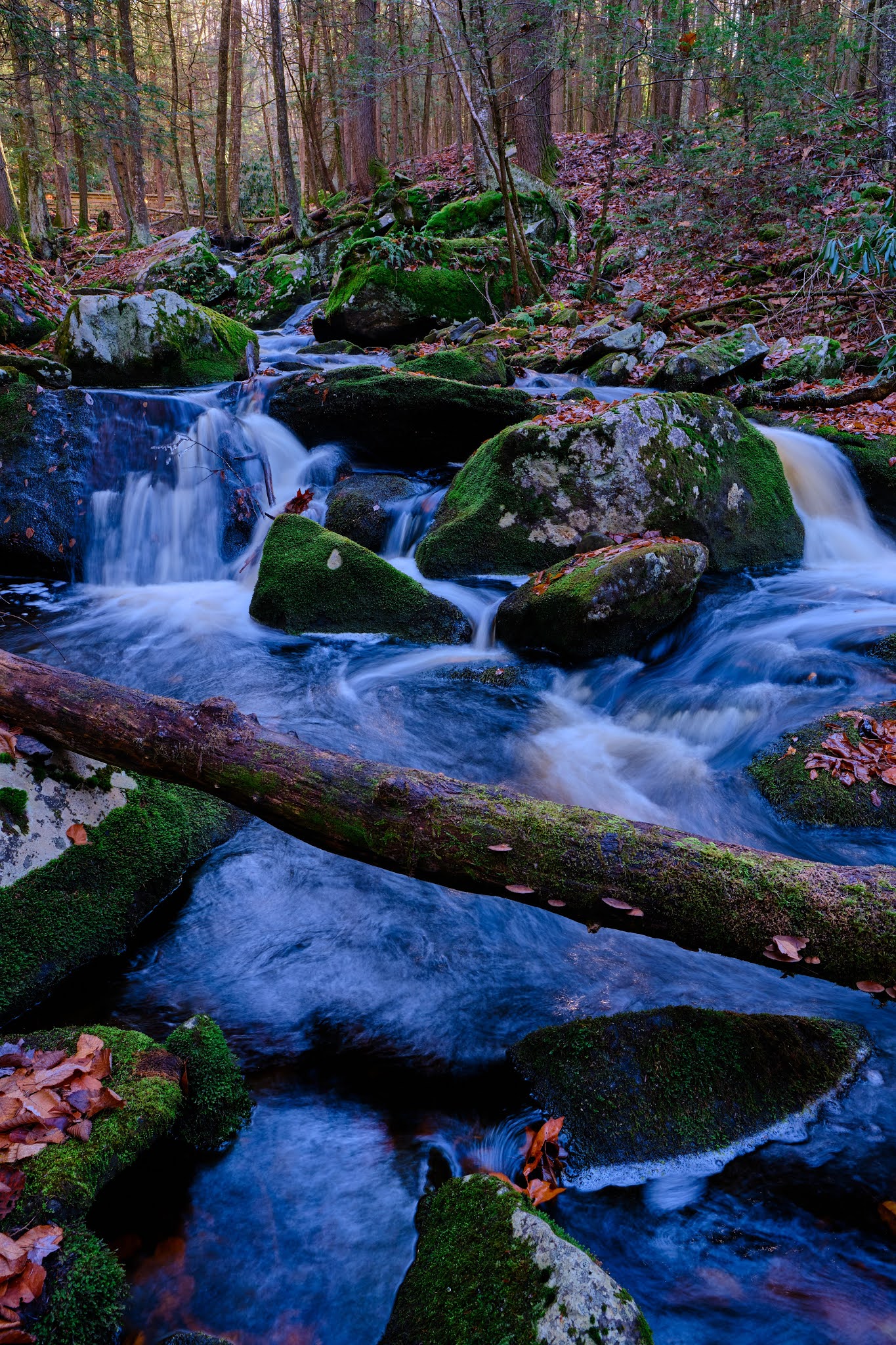 Neversink Gorge Trails - Rock Hill, NY