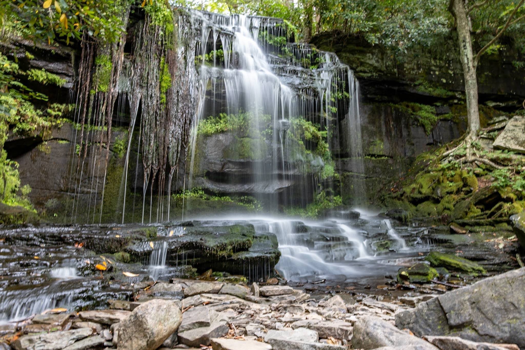 Neversink Gorge Trails - Rock Hill, NY
