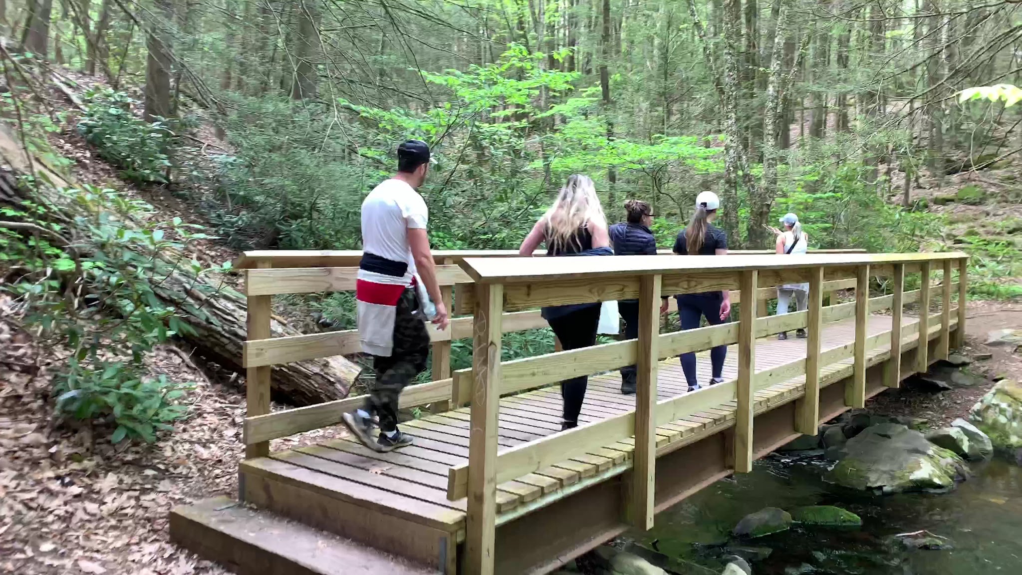 Neversink Gorge Trails - Rock Hill, NY