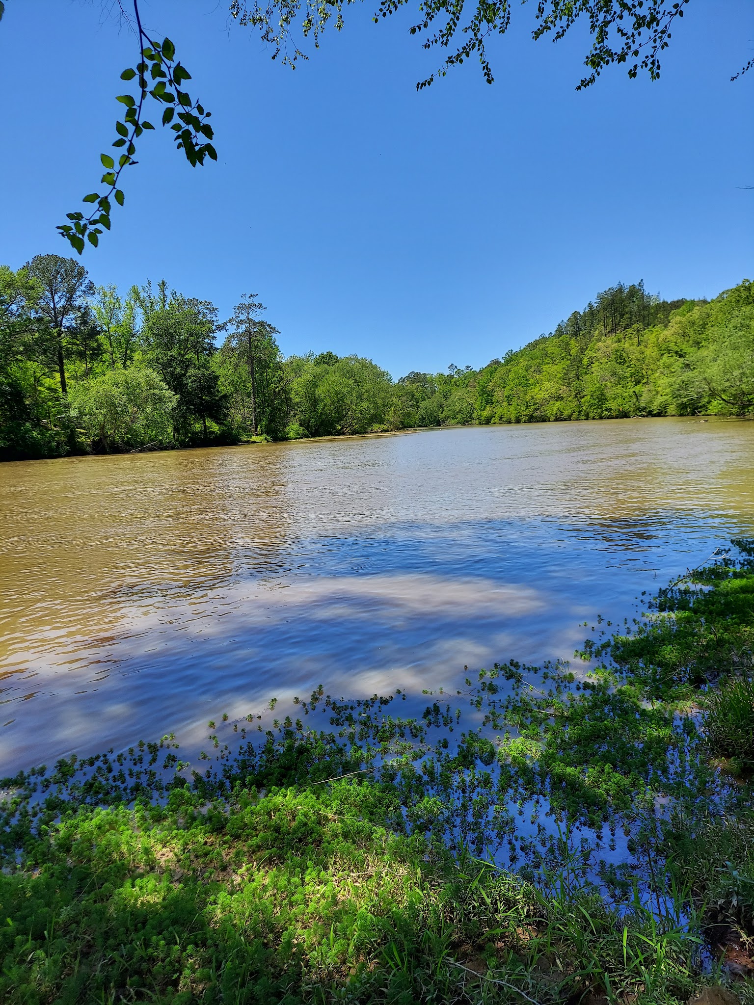 Coosa WMA, Forever Wild Trailhead - Rockford, AL