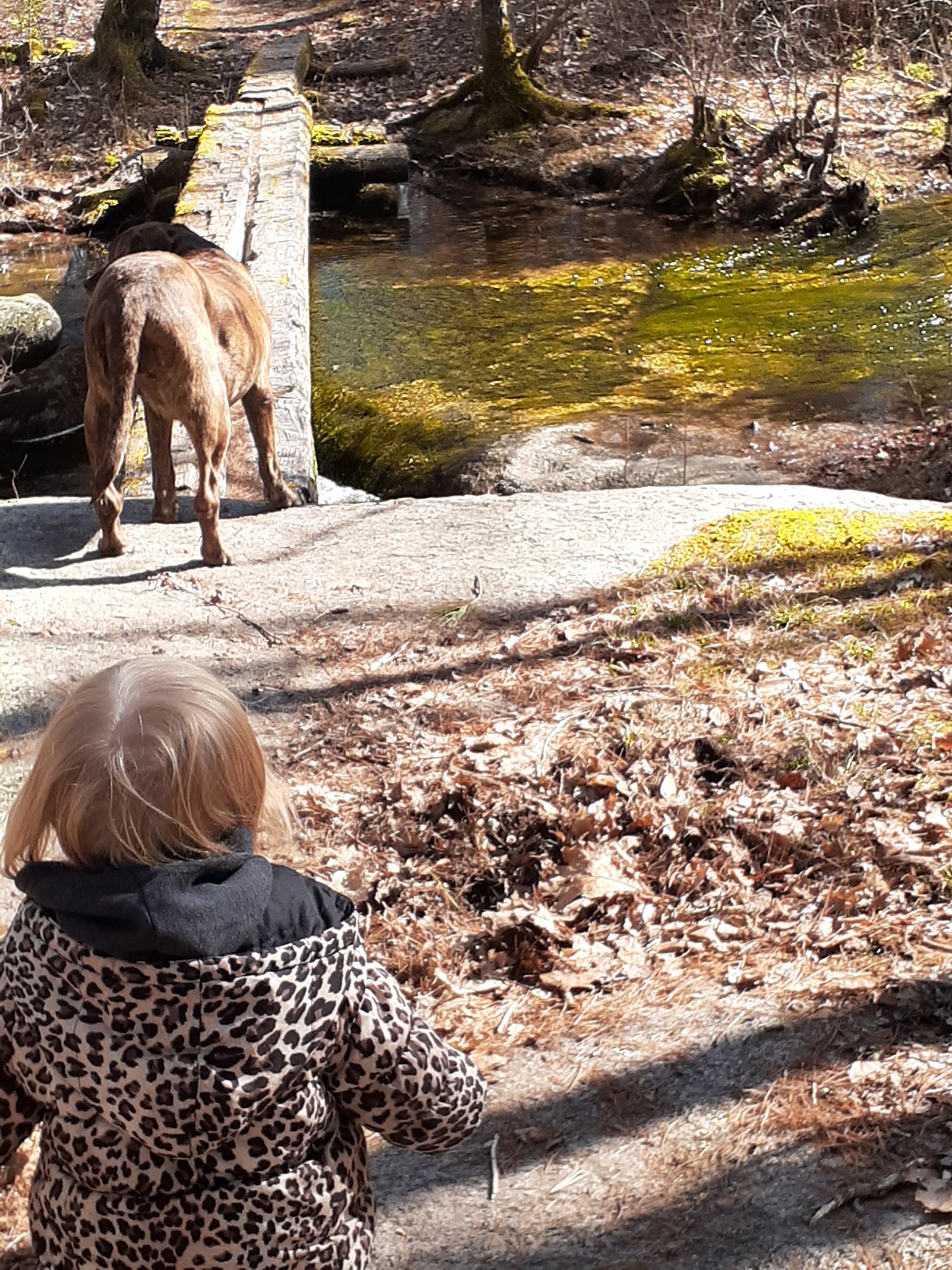 Narragansett Trail Trailhead - Rockville, RI