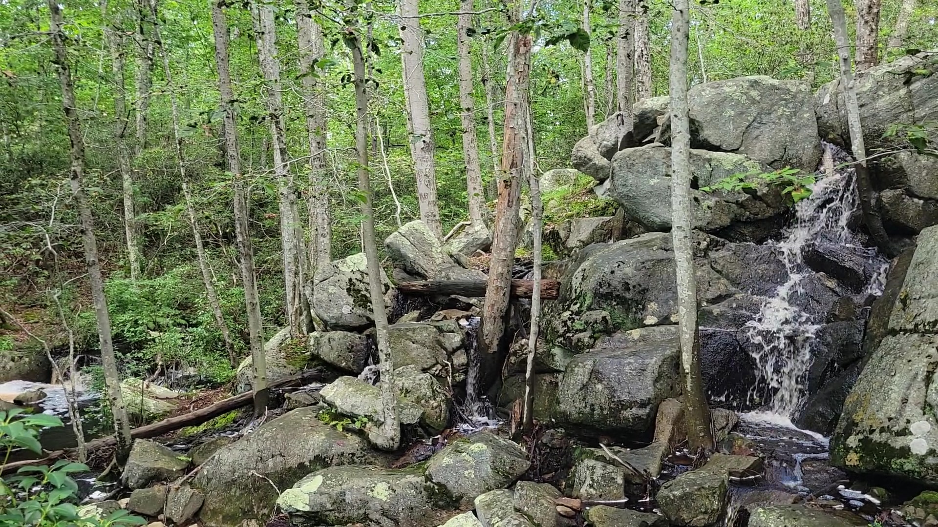 Narragansett Trail Trailhead - Rockville, RI