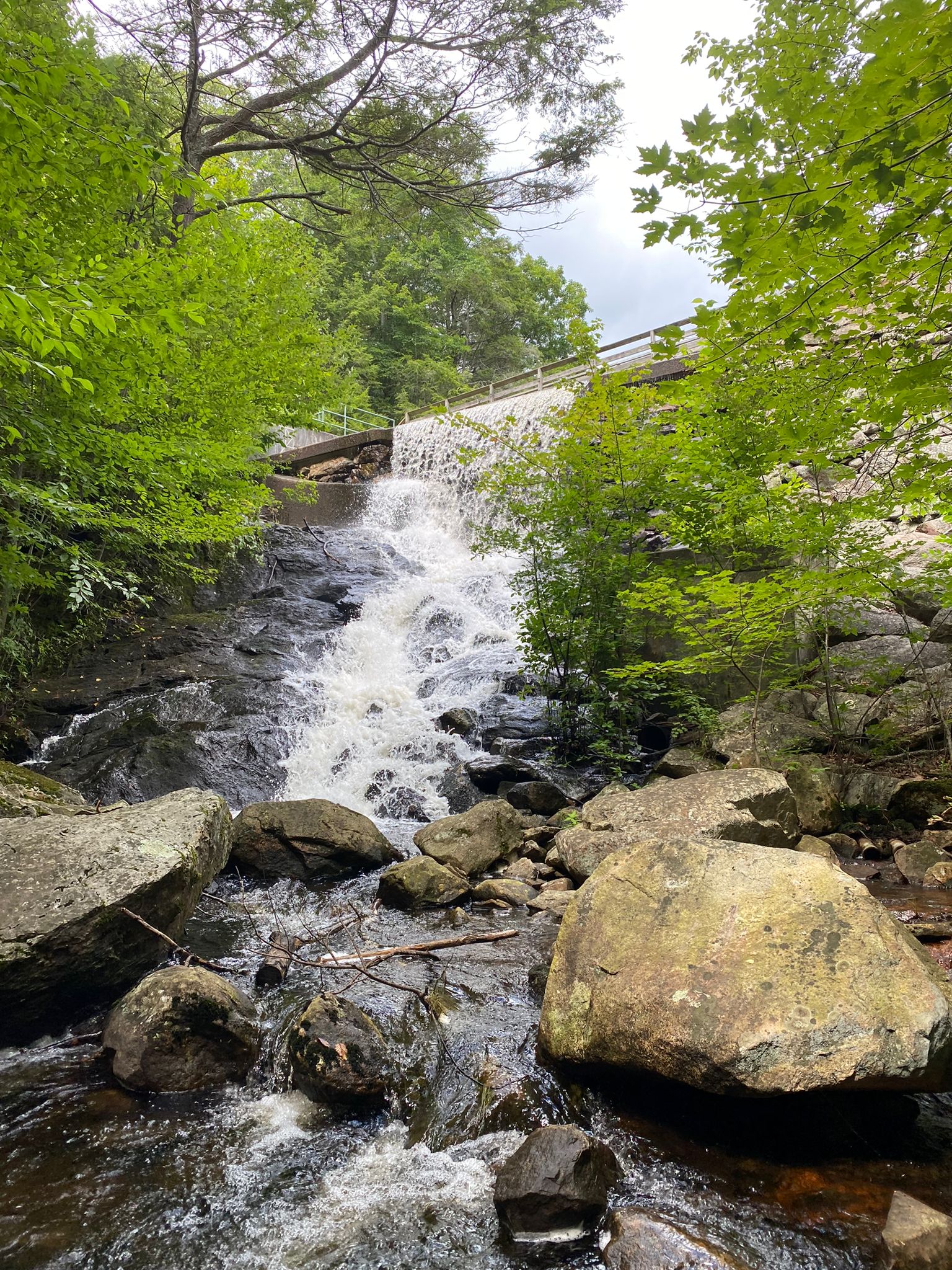 Narragansett Trail Trailhead - Rockville, RI