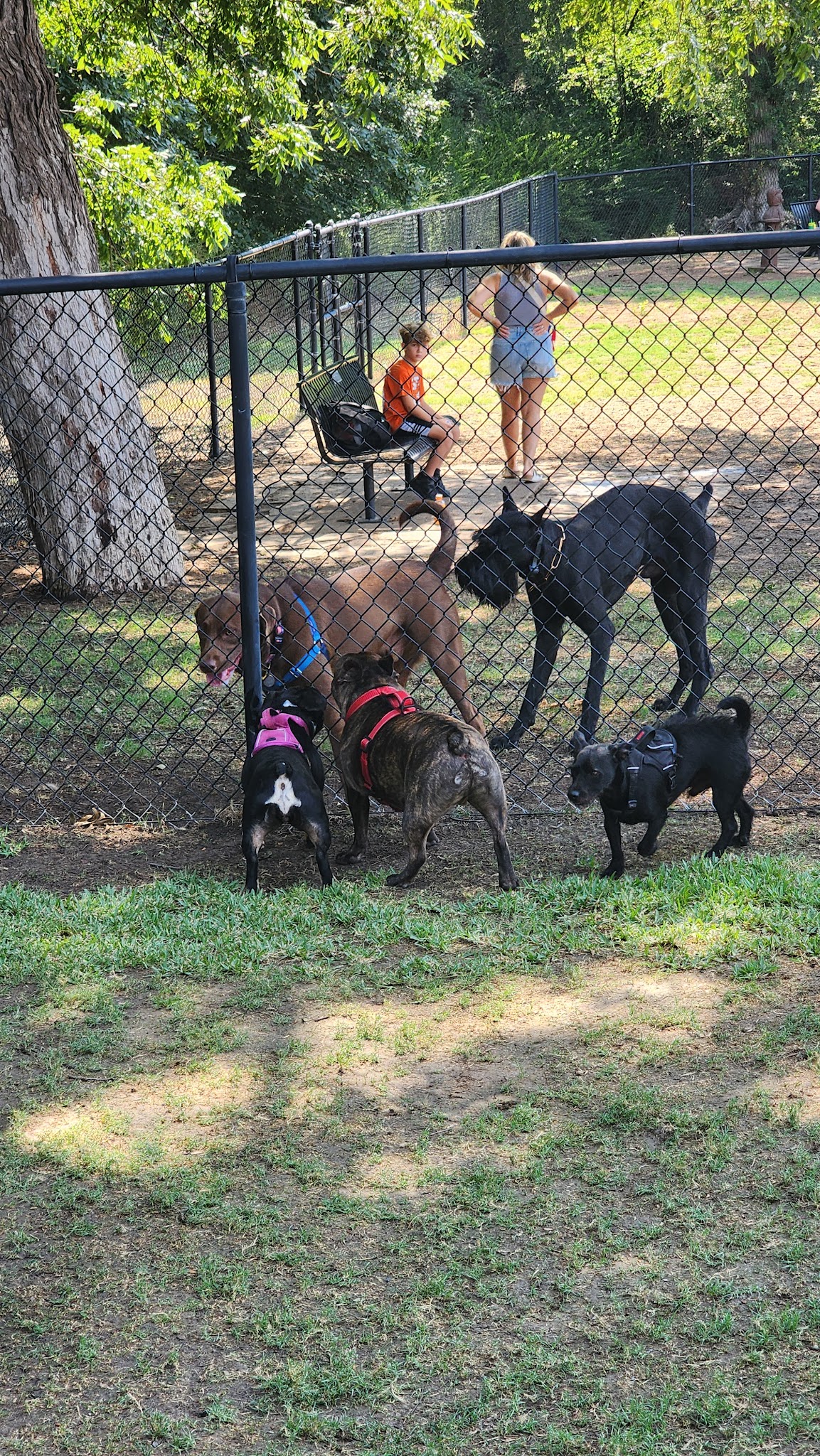 Harry Myers Dog Park - Rockwall, TX