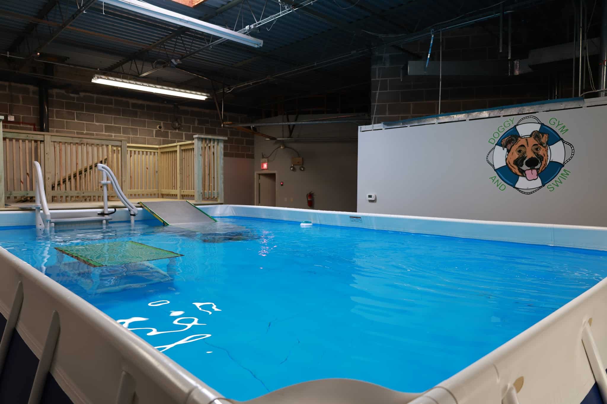 Doggy Gym and Swim - Rolling Meadows, IL