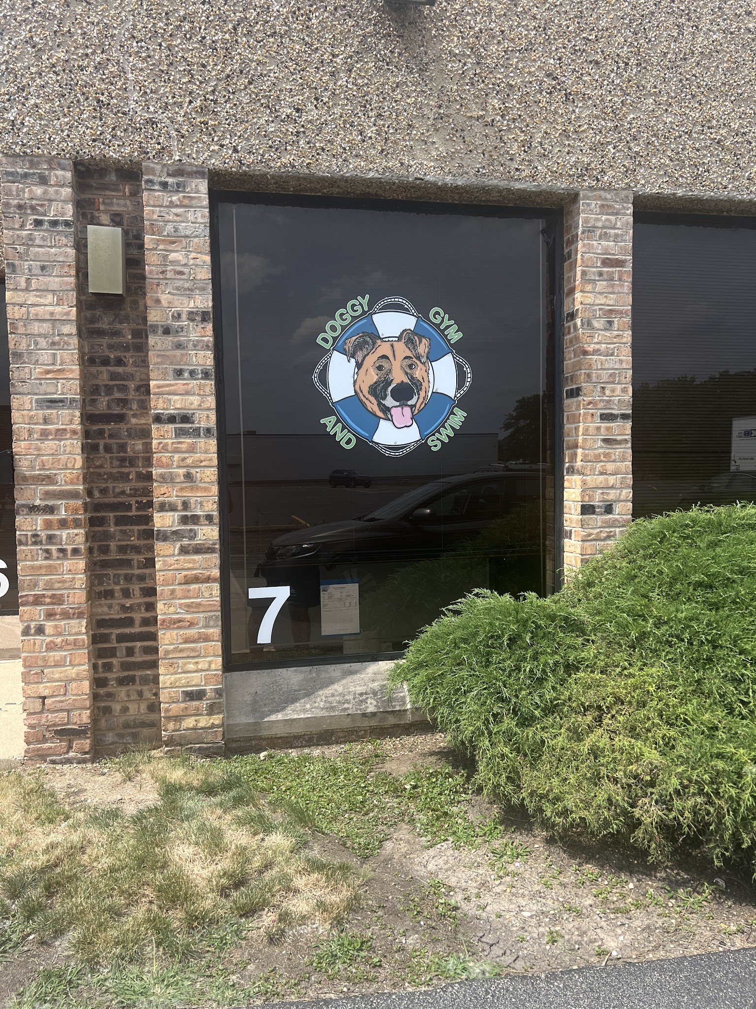 Doggy Gym and Swim - Rolling Meadows, IL