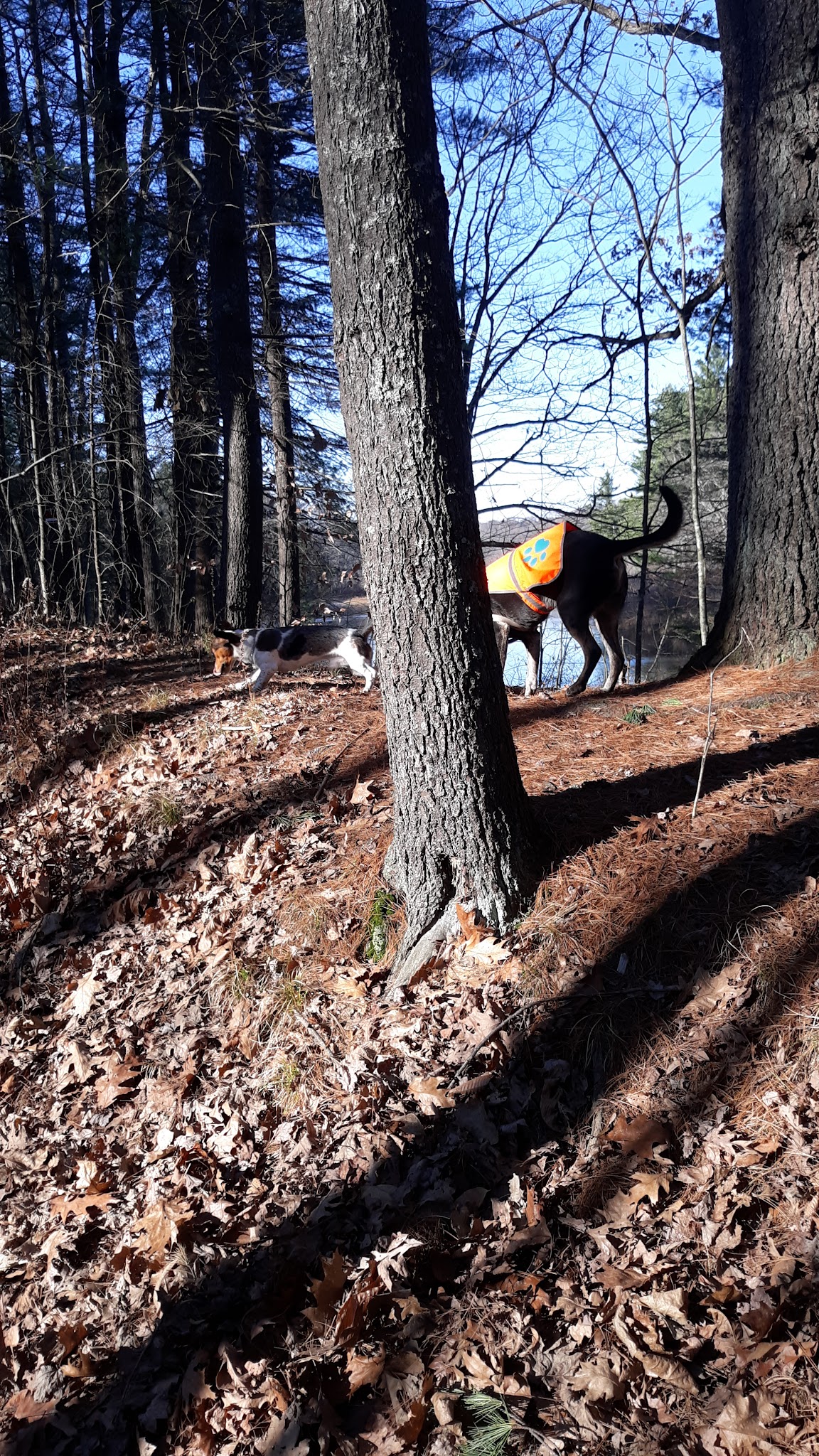 Bicentennial Park - Rollinsford, NH