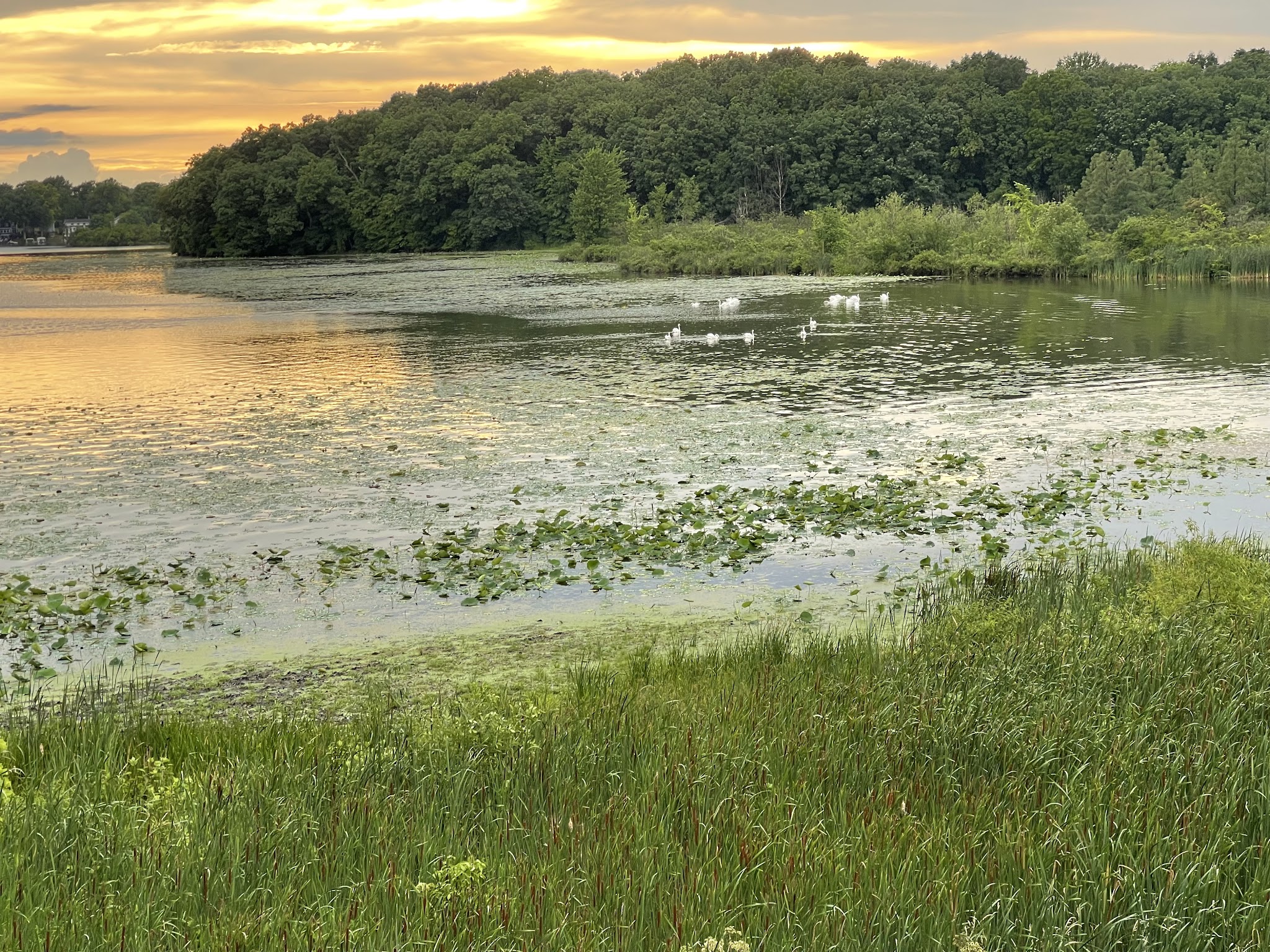 Sylvan Lake Indiana - Rome City, IN