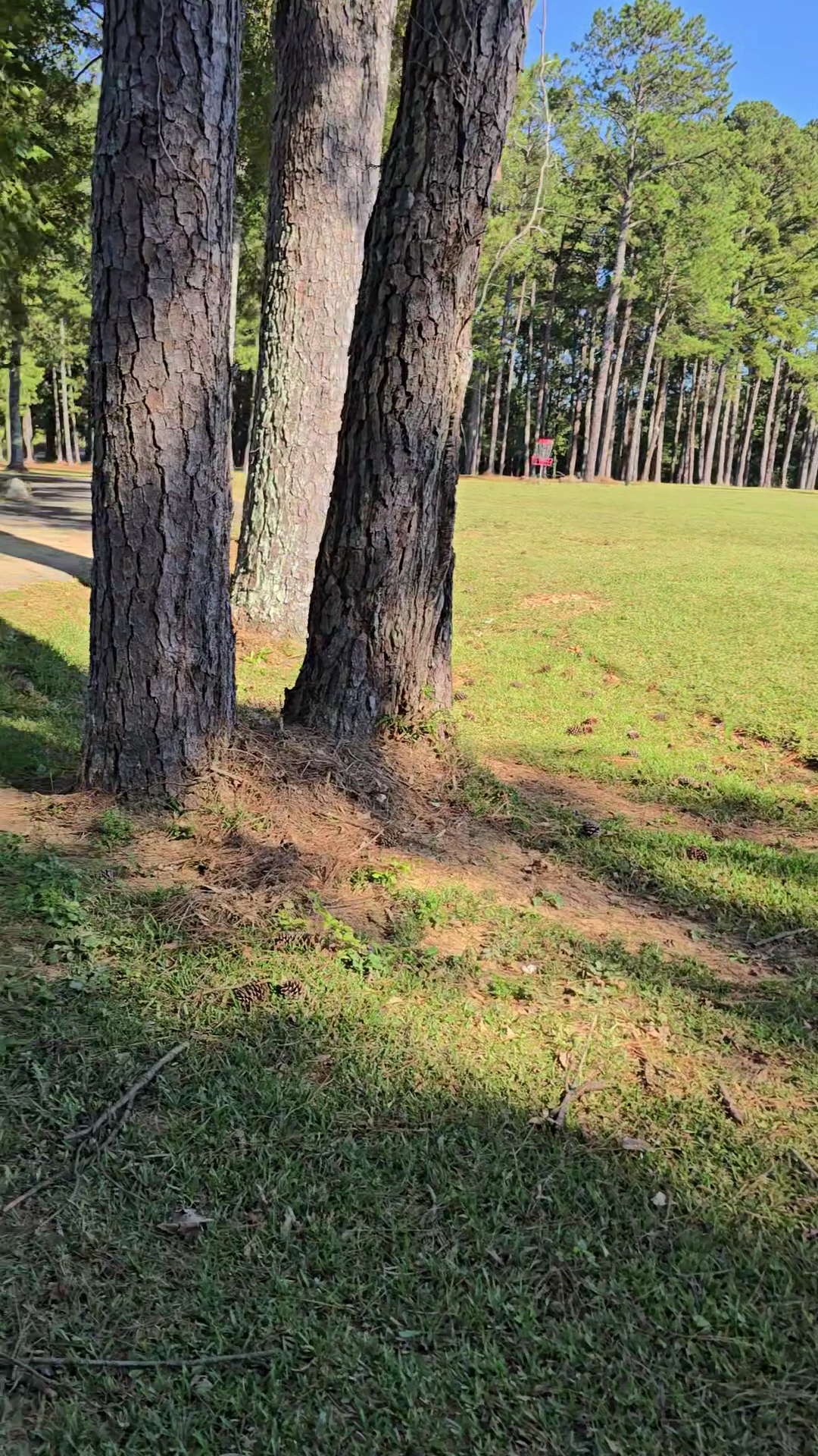 Shag Williams Park - Rome, GA