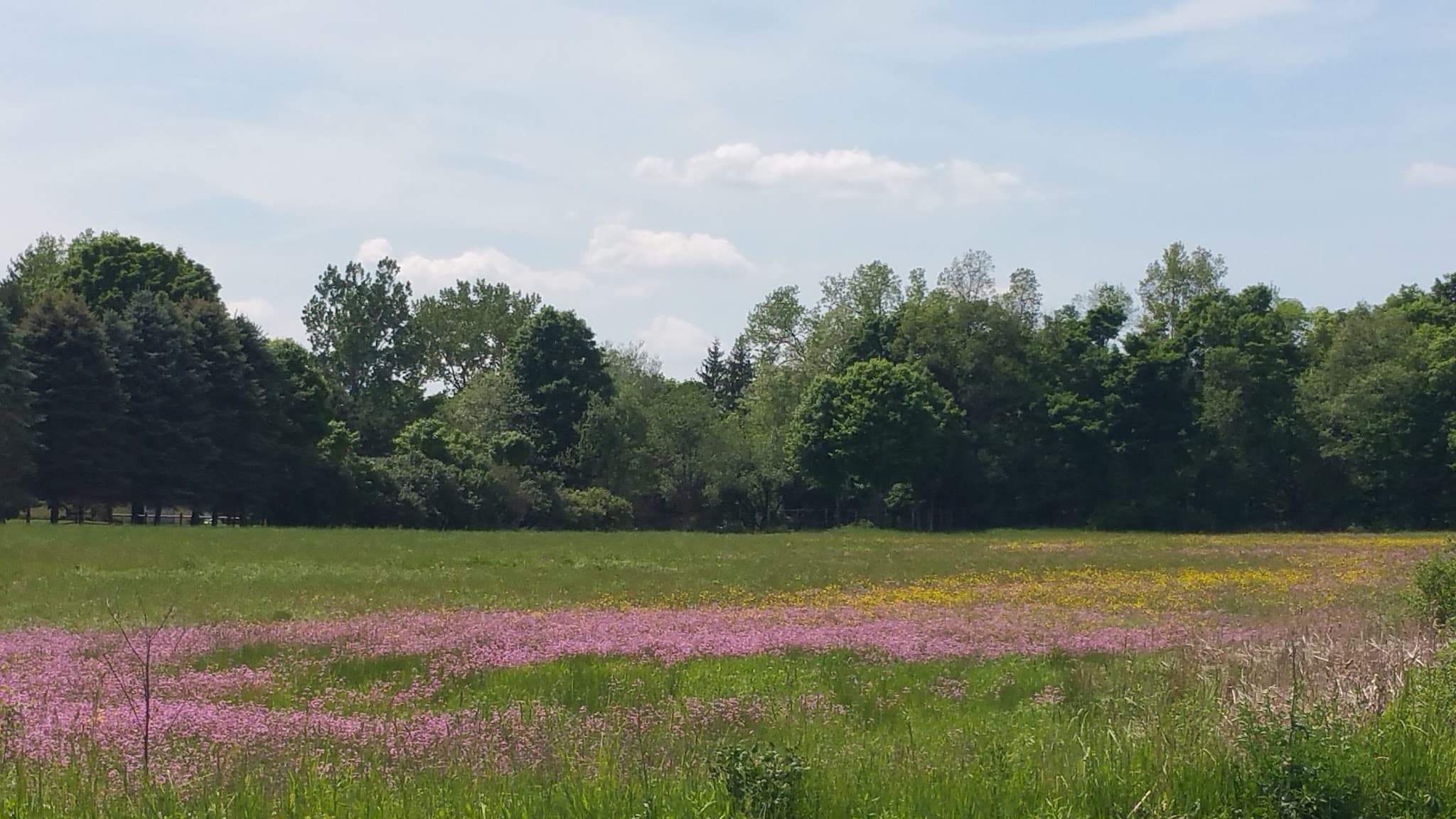 Floyd Town Park - Rome, NY