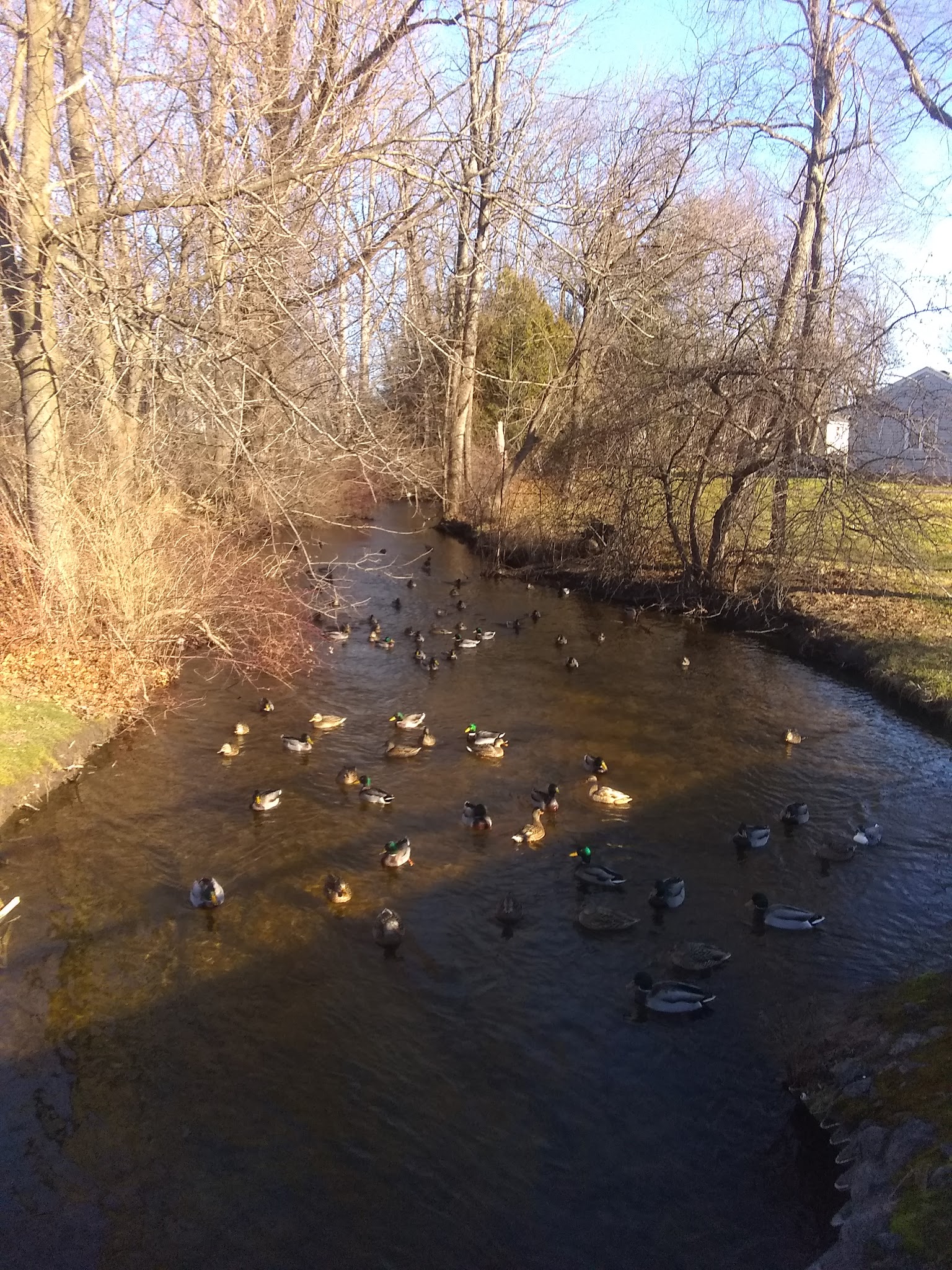 Guyer Field - Rome, NY