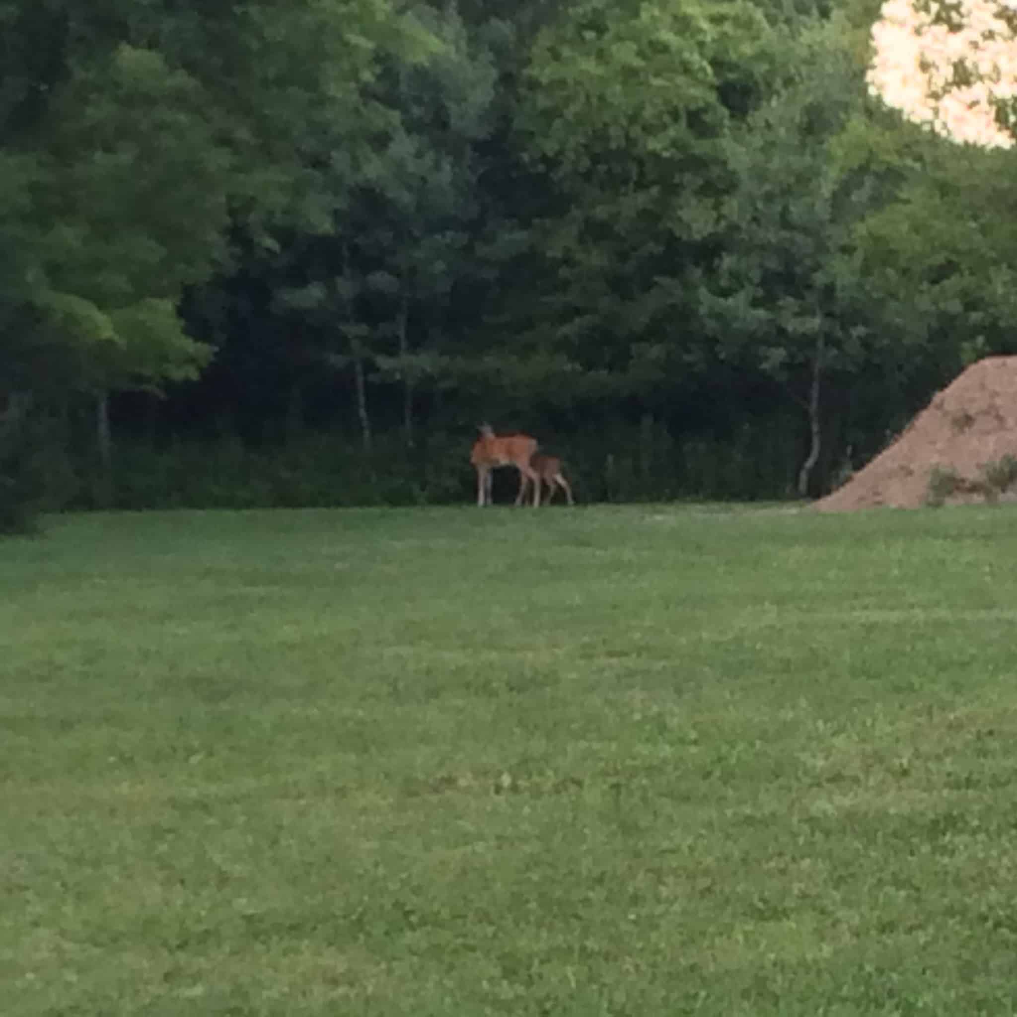 Haselton Park - Rome, NY