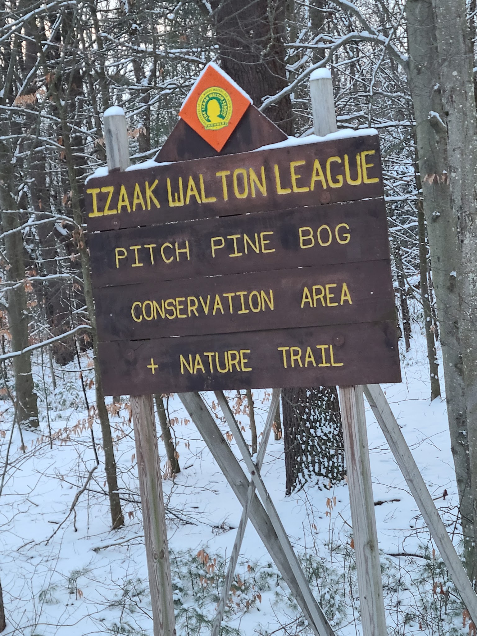 Pitch Pine Bog Conservation Area And Nature Trail - Rome, NY