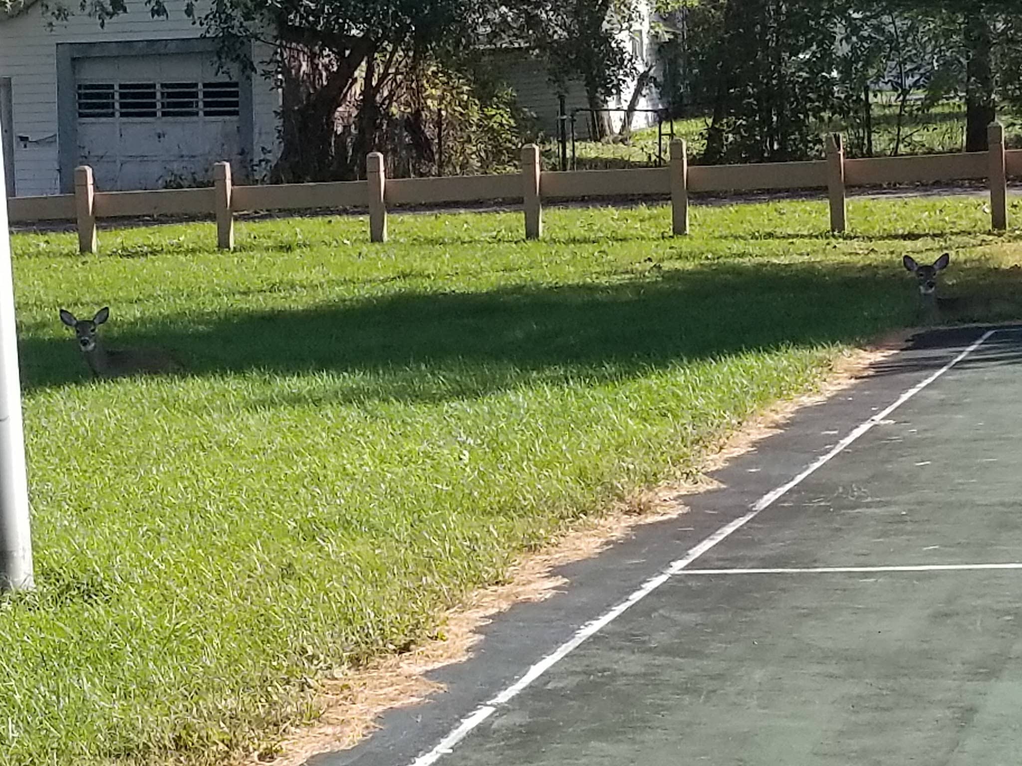 Gryziec Field - Rome, NY