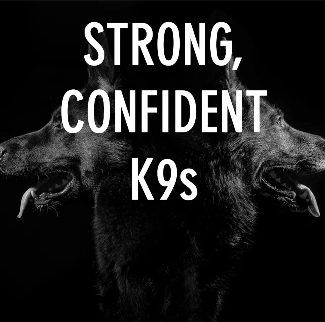 Hurricane Creek K9 - Roopville, GA