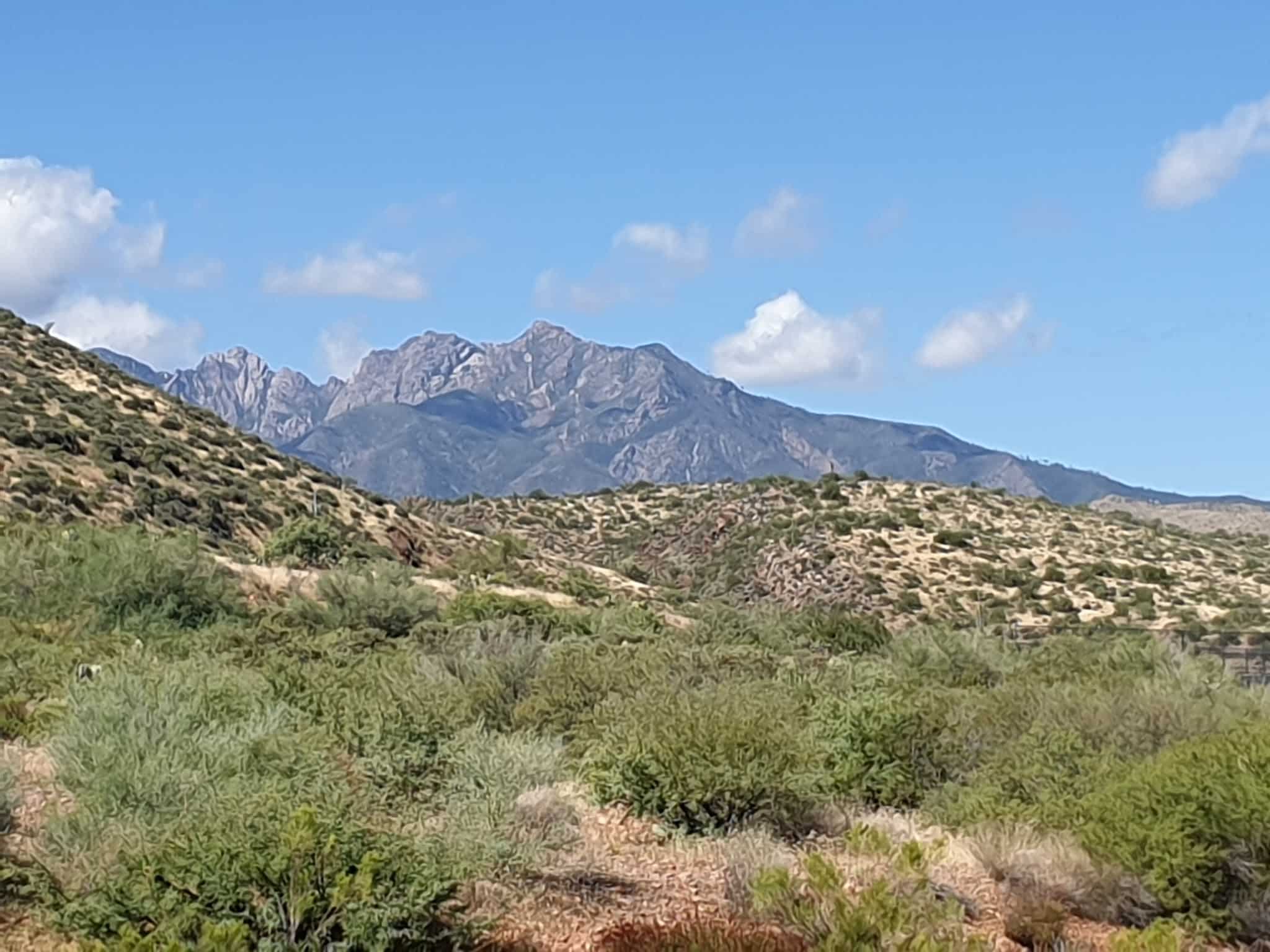Vineyard Canyon Picnic Site - Roosevelt, AZ