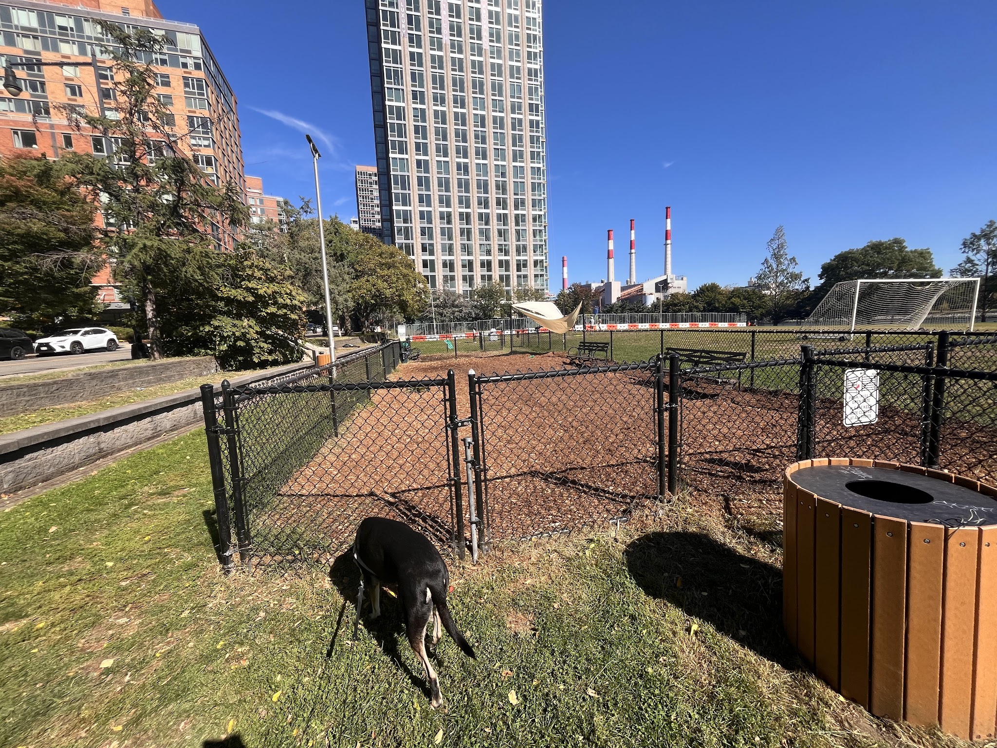 Southtown Dog Run - Roosevelt Island, NY