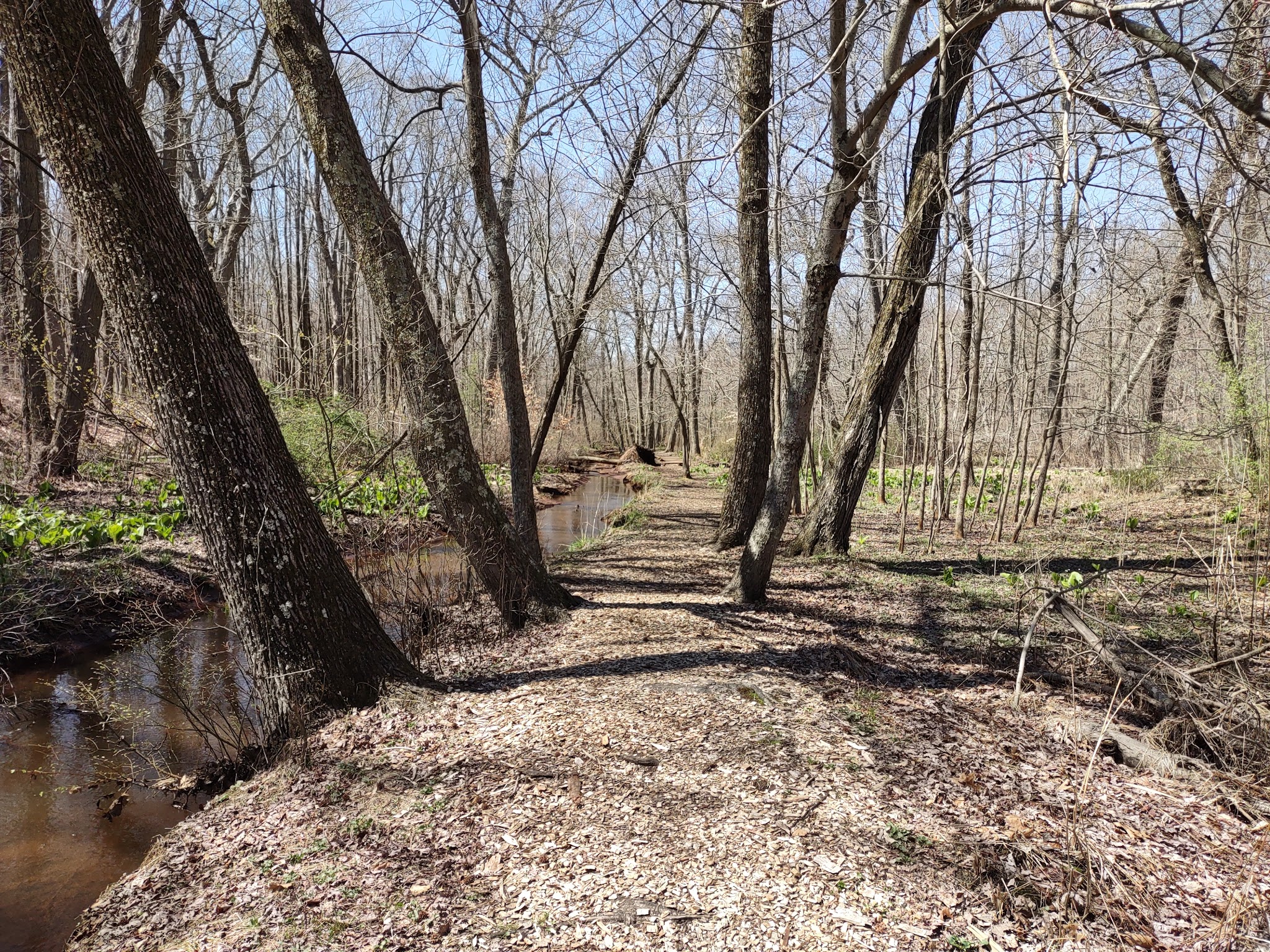 Roosevelt Woodland Trail - Roosevelt, NJ