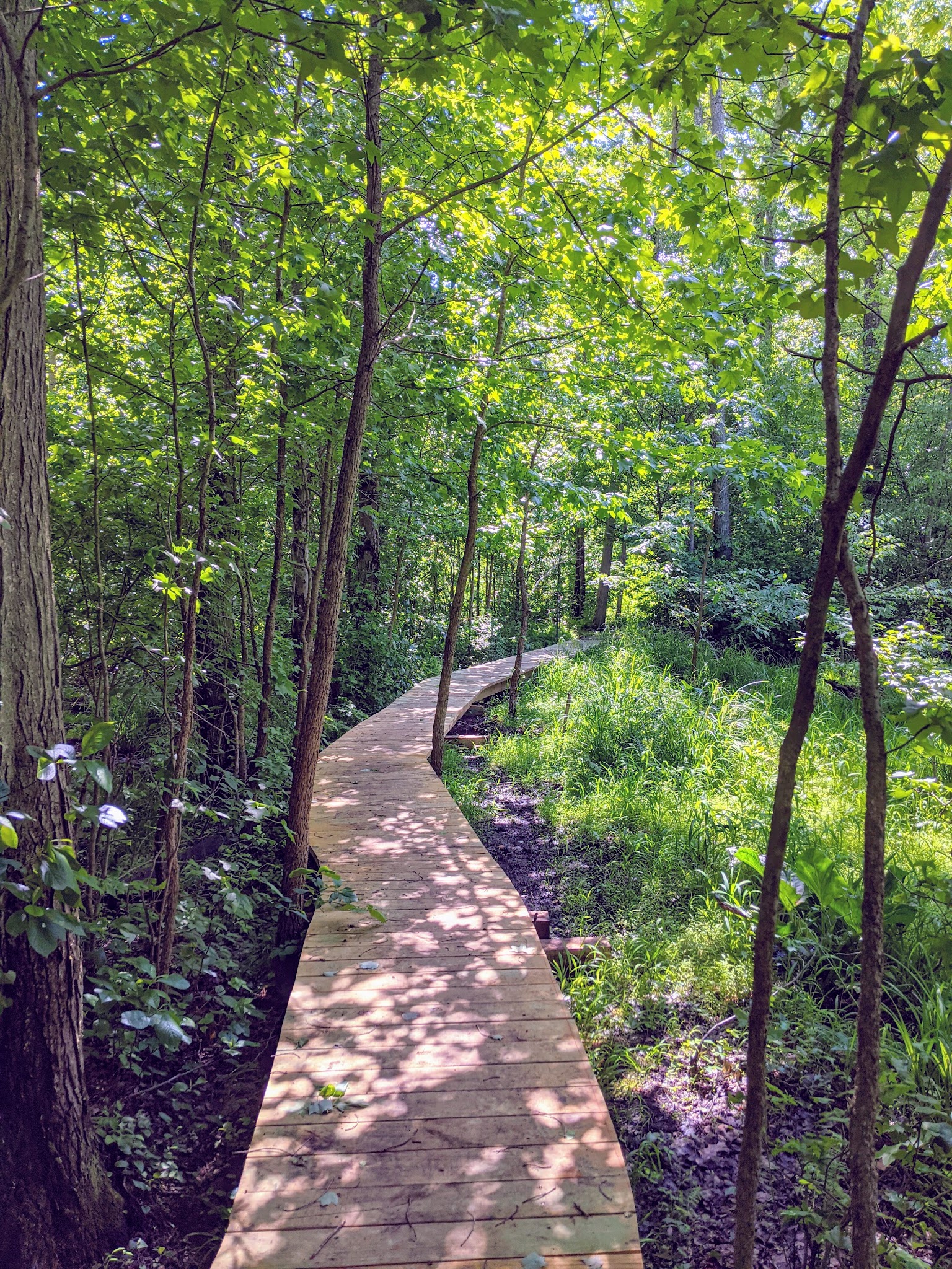 Roosevelt Woodland Trail - Roosevelt, NJ