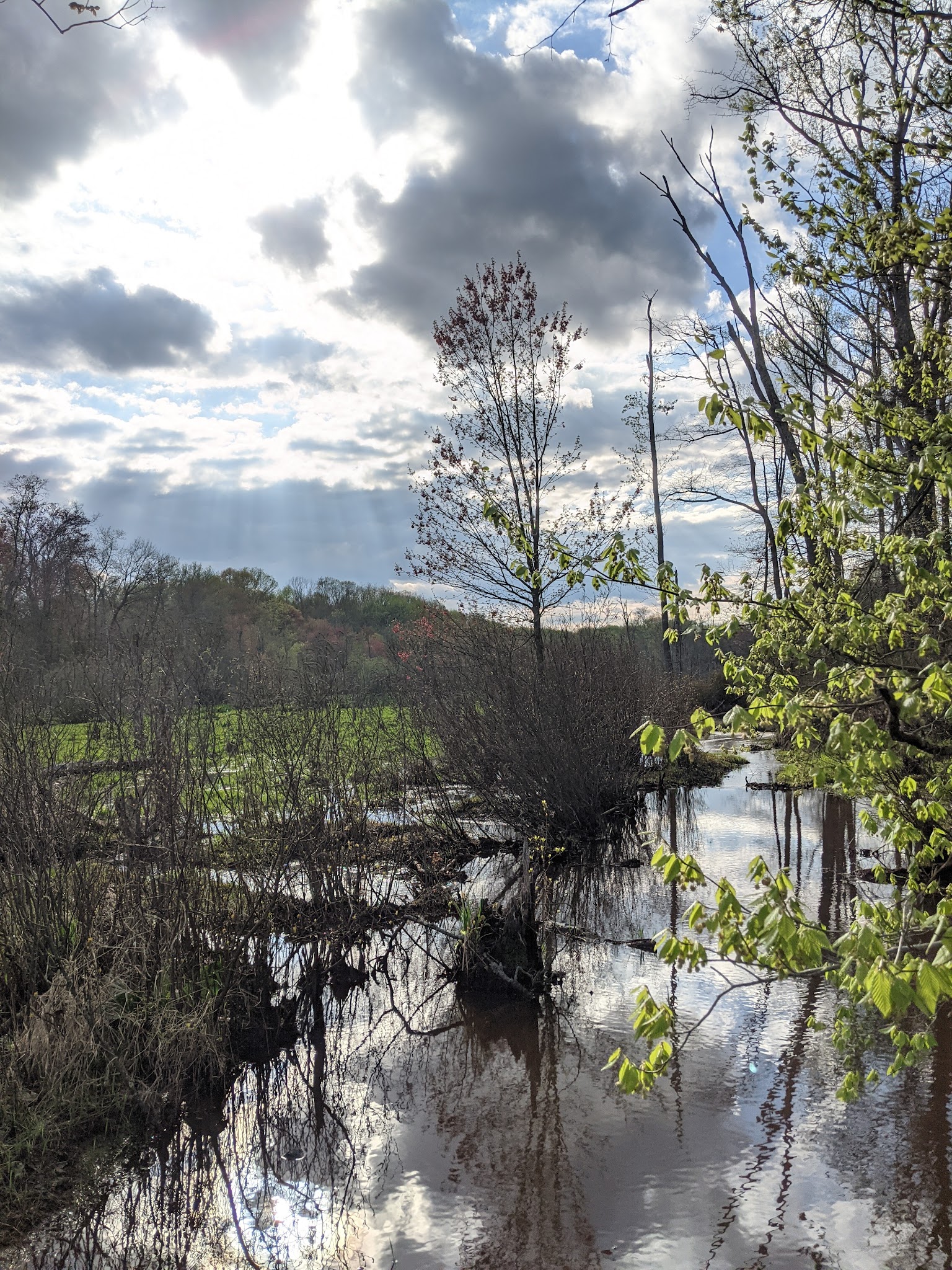Roosevelt Woodland Trail - Roosevelt, NJ