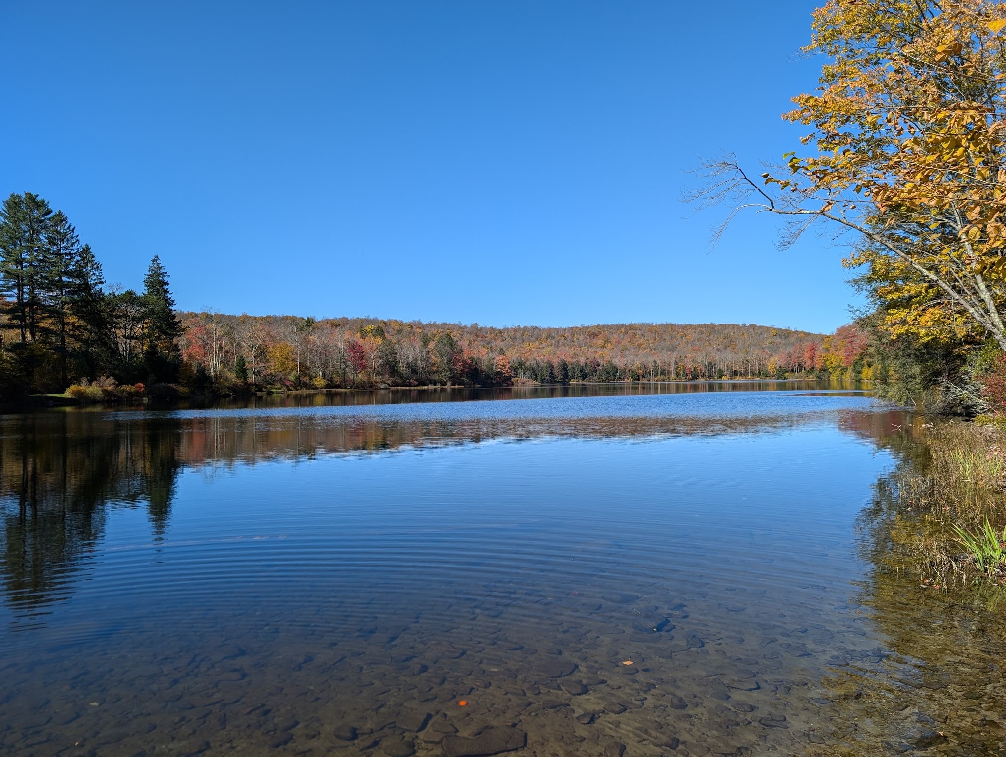 Crystal Lake Wild Forest - Roscoe, NY