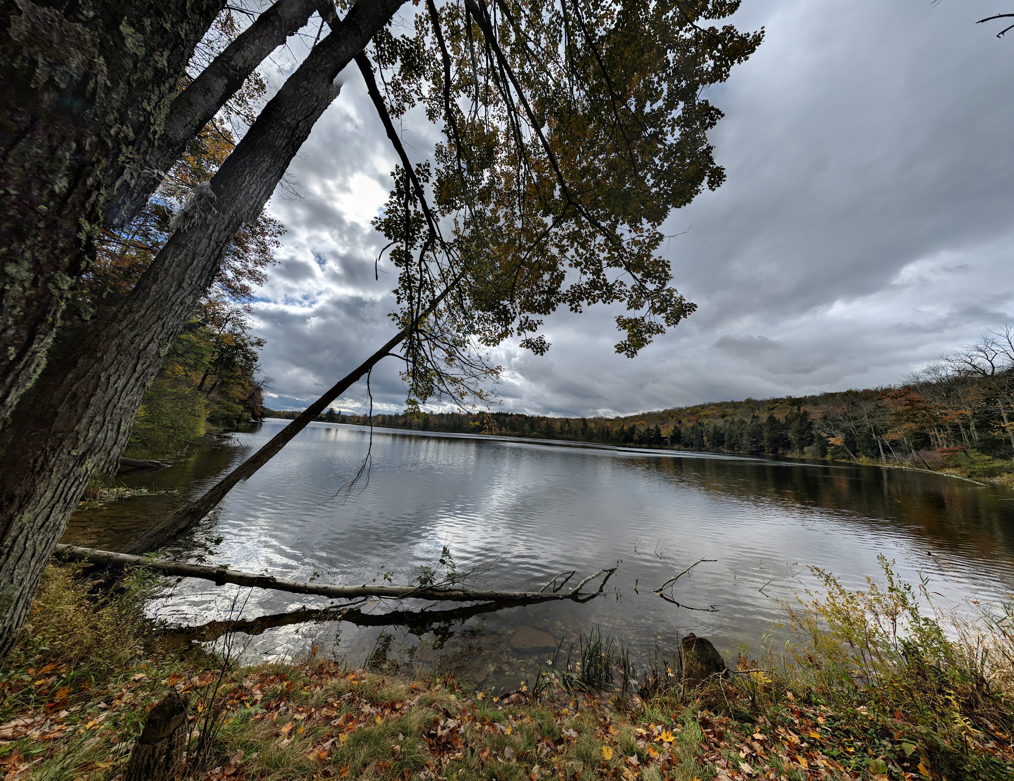 Crystal Lake Wild Forest - Roscoe, NY