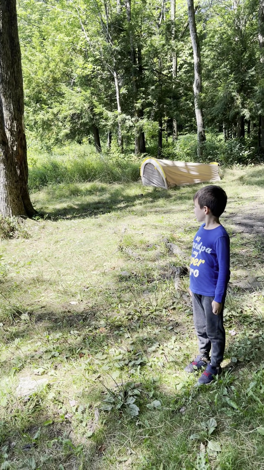Crystal Lake Wild Forest - Roscoe, NY