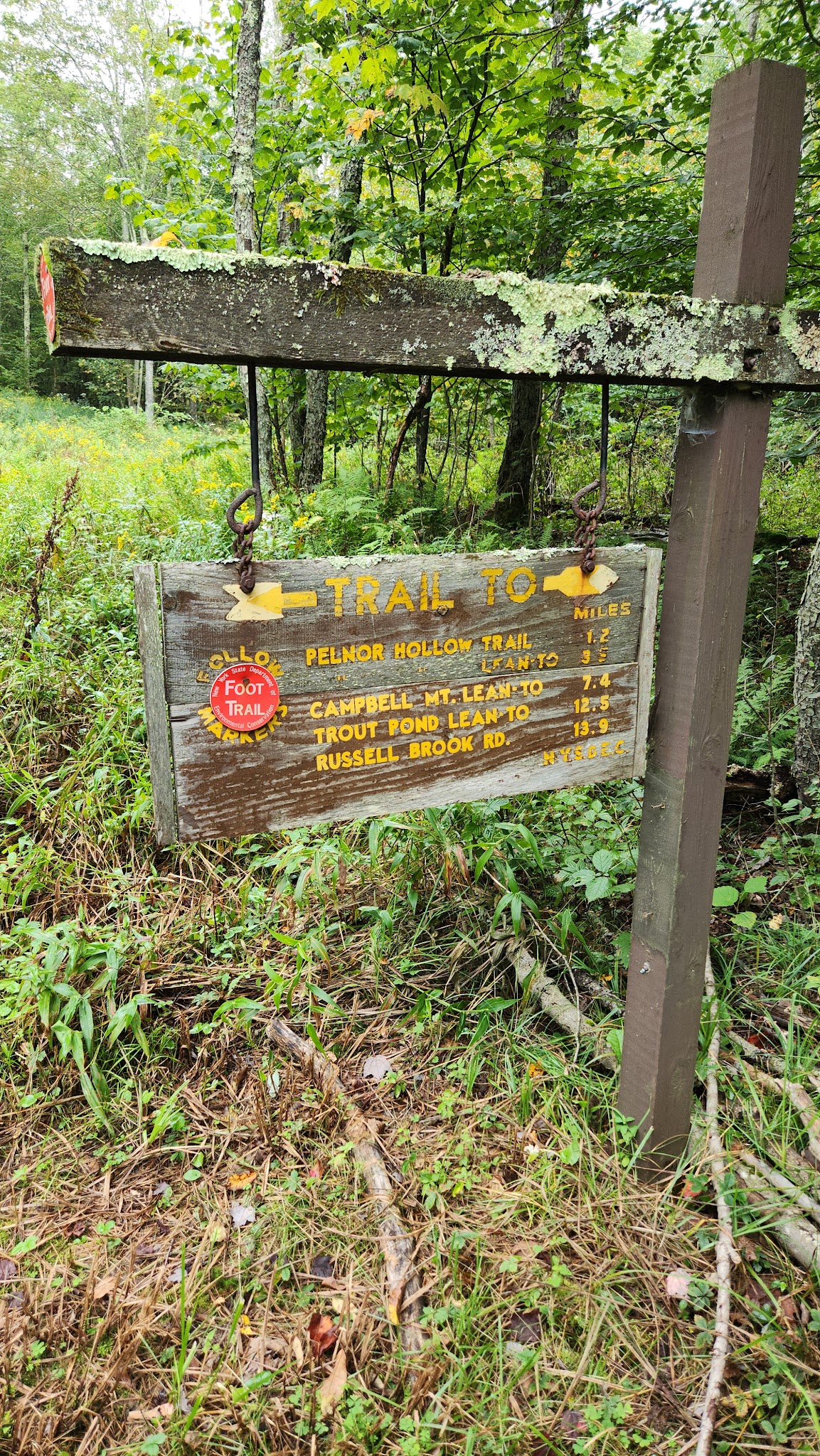 Mary Smith Trail Parking - Roscoe, NY