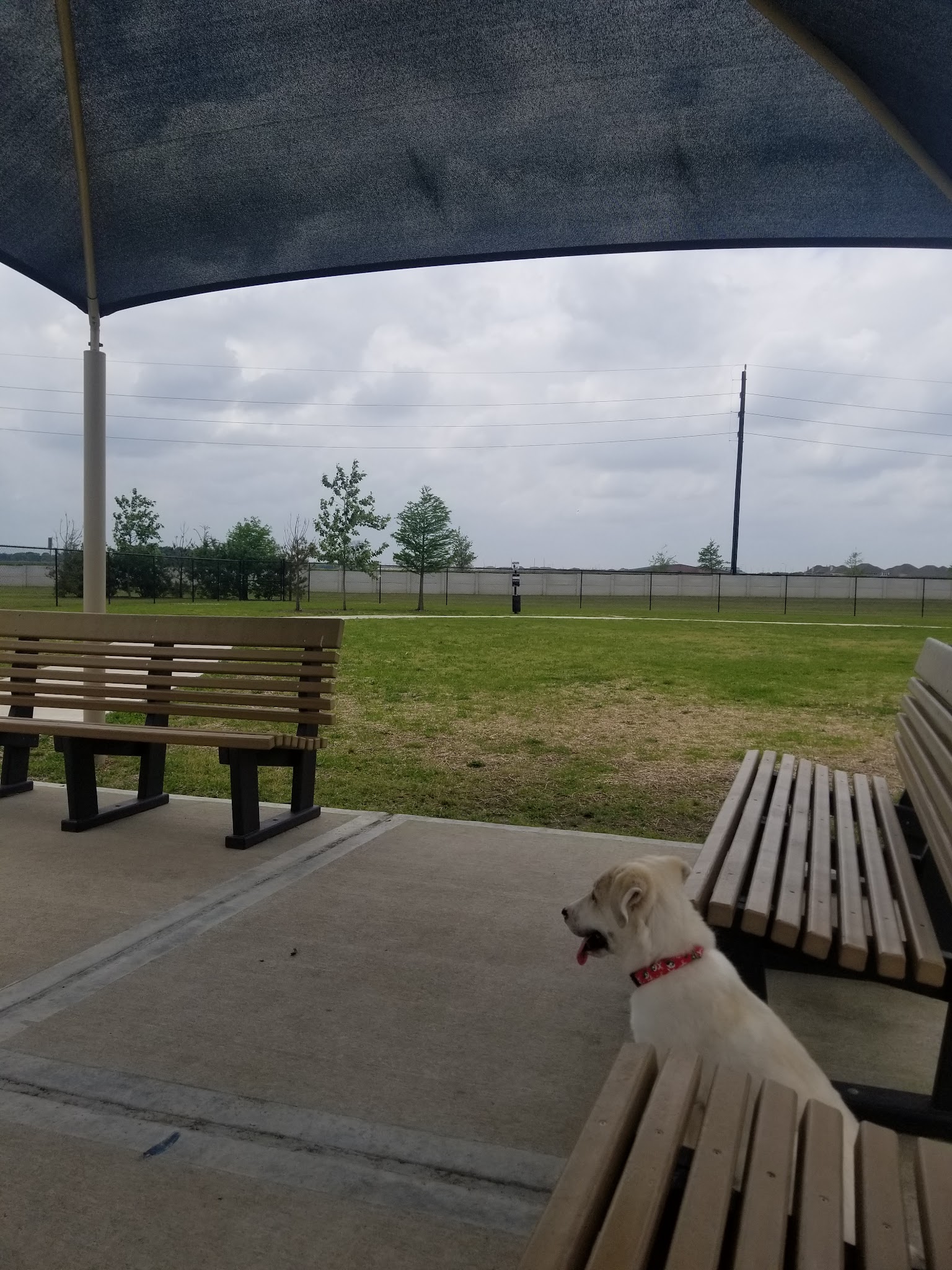 Walnut Creek Dog Park - Rosenberg, TX
