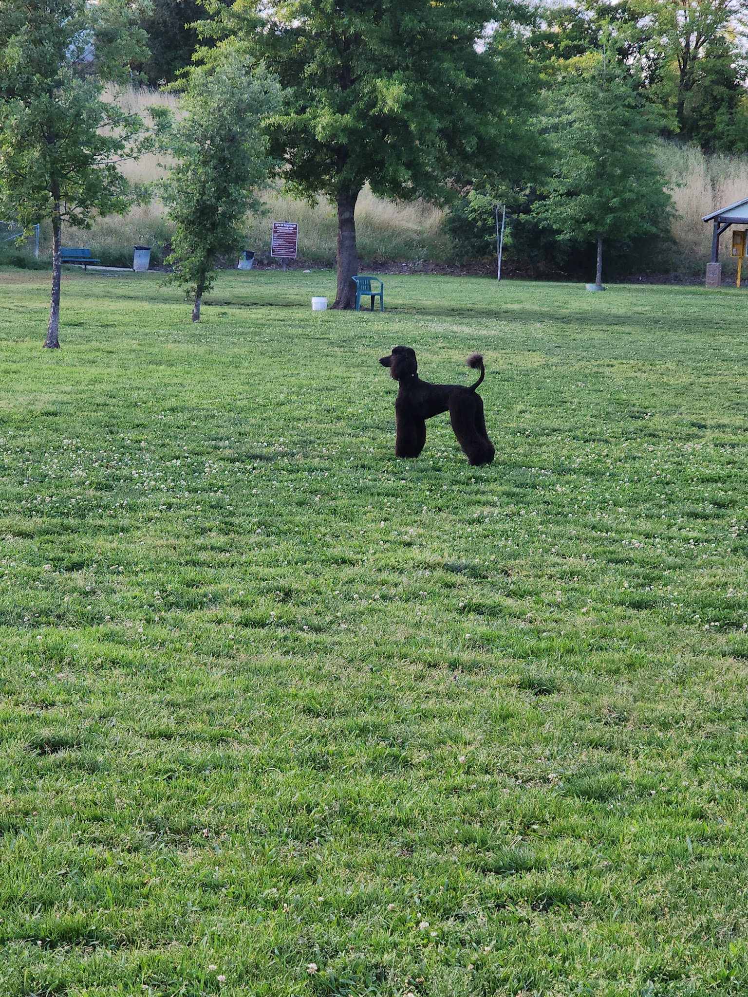 Marco Dog Park - Roseville, CA