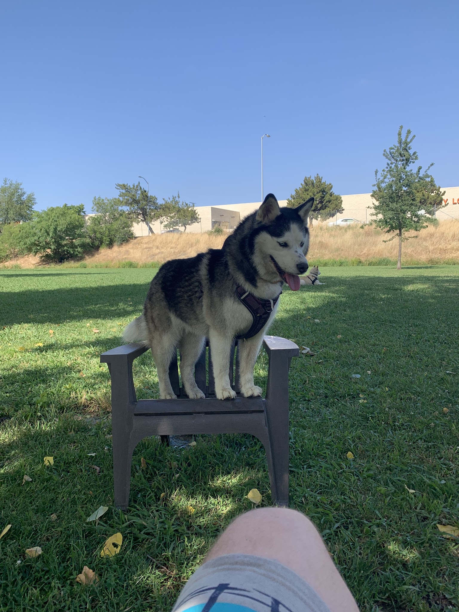 Marco Dog Park - Roseville, CA